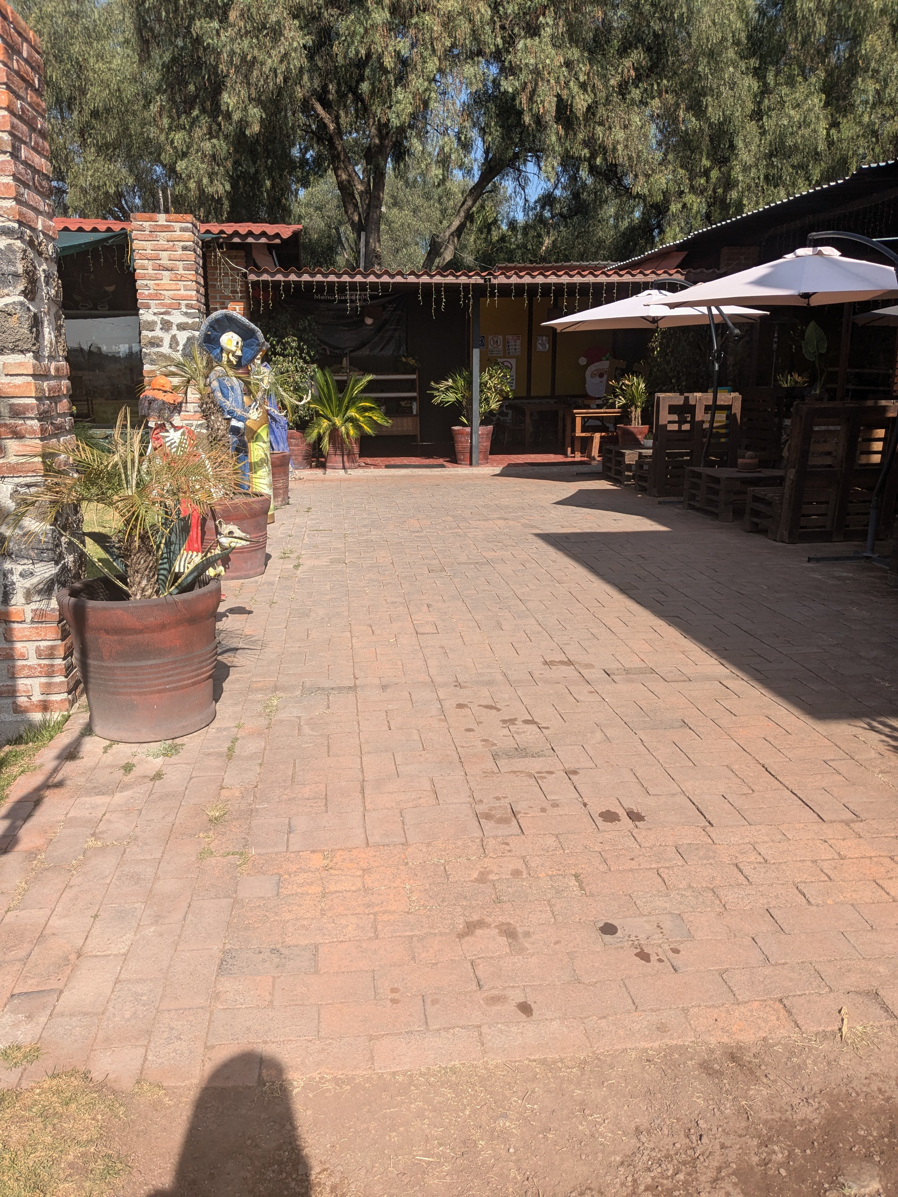 "Restaurante y Asadero La Empacadora" image 9