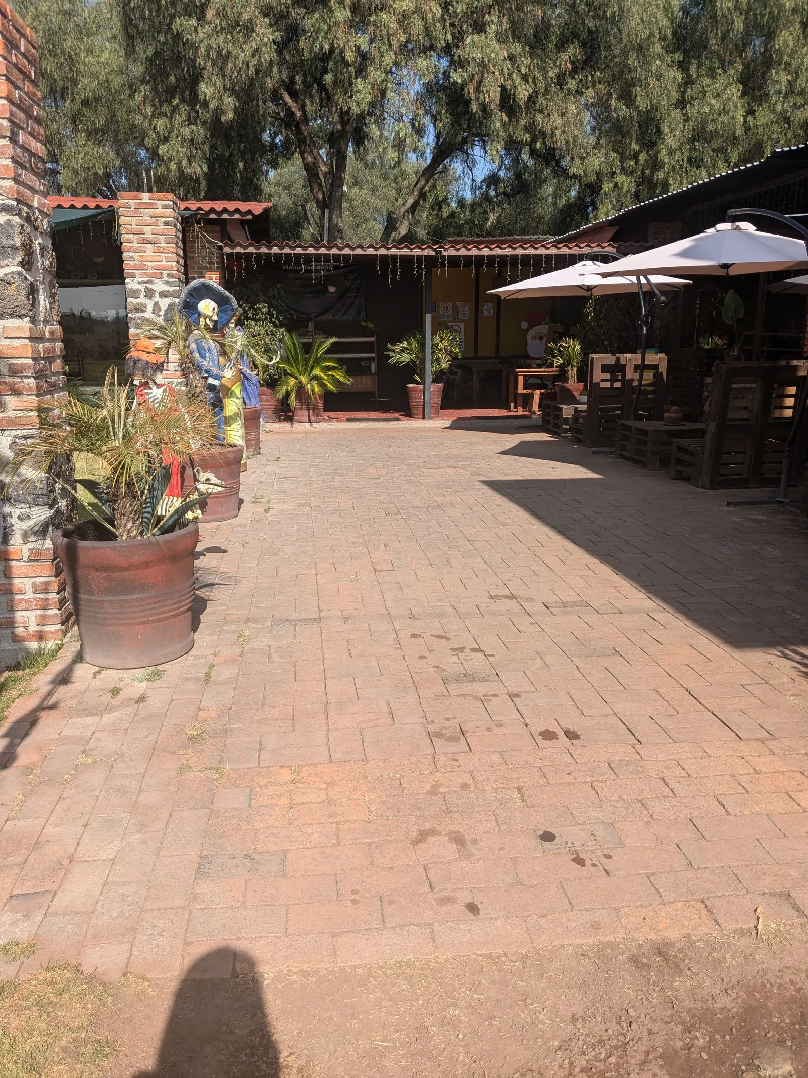 "Restaurante y Asadero La Empacadora" image 9