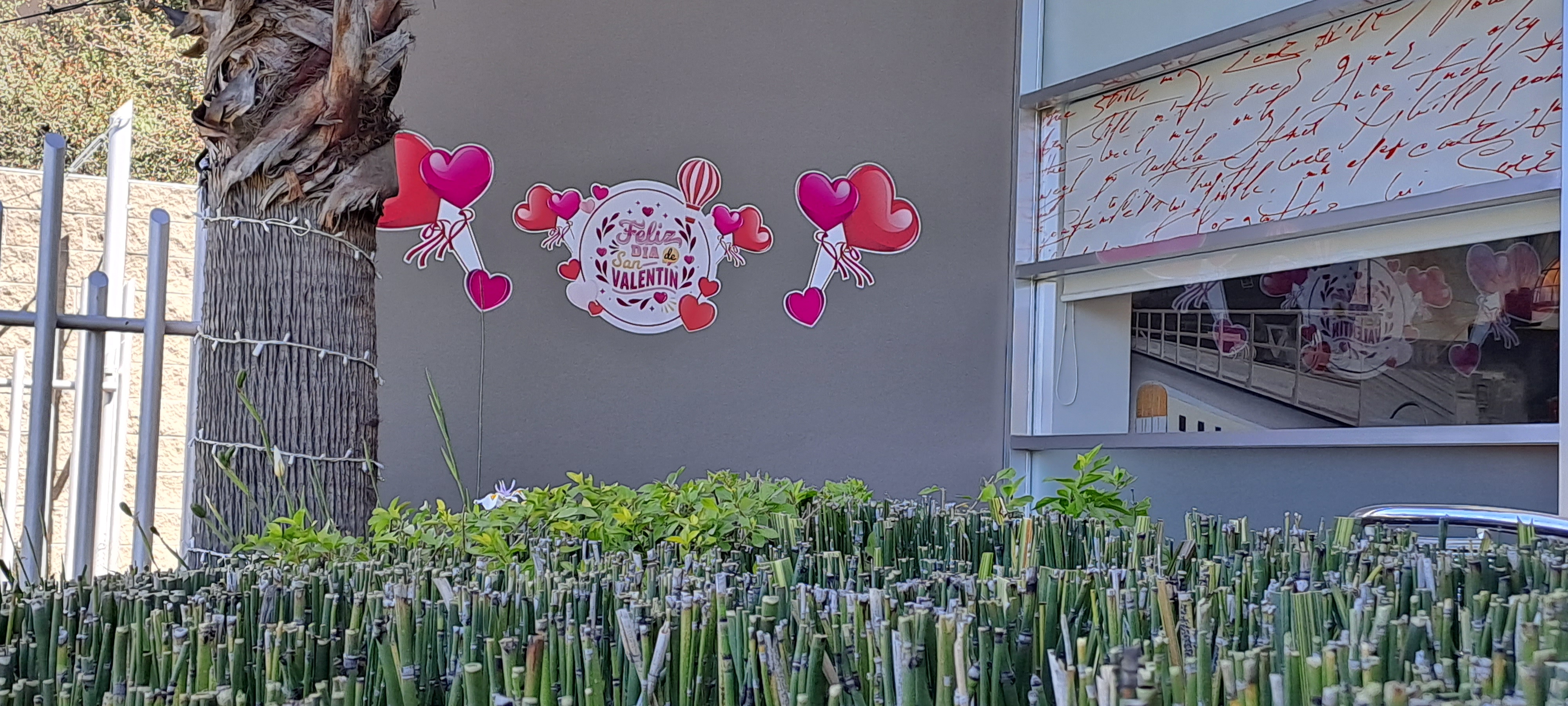 Restaurante Bar Fray Bernardino image 6