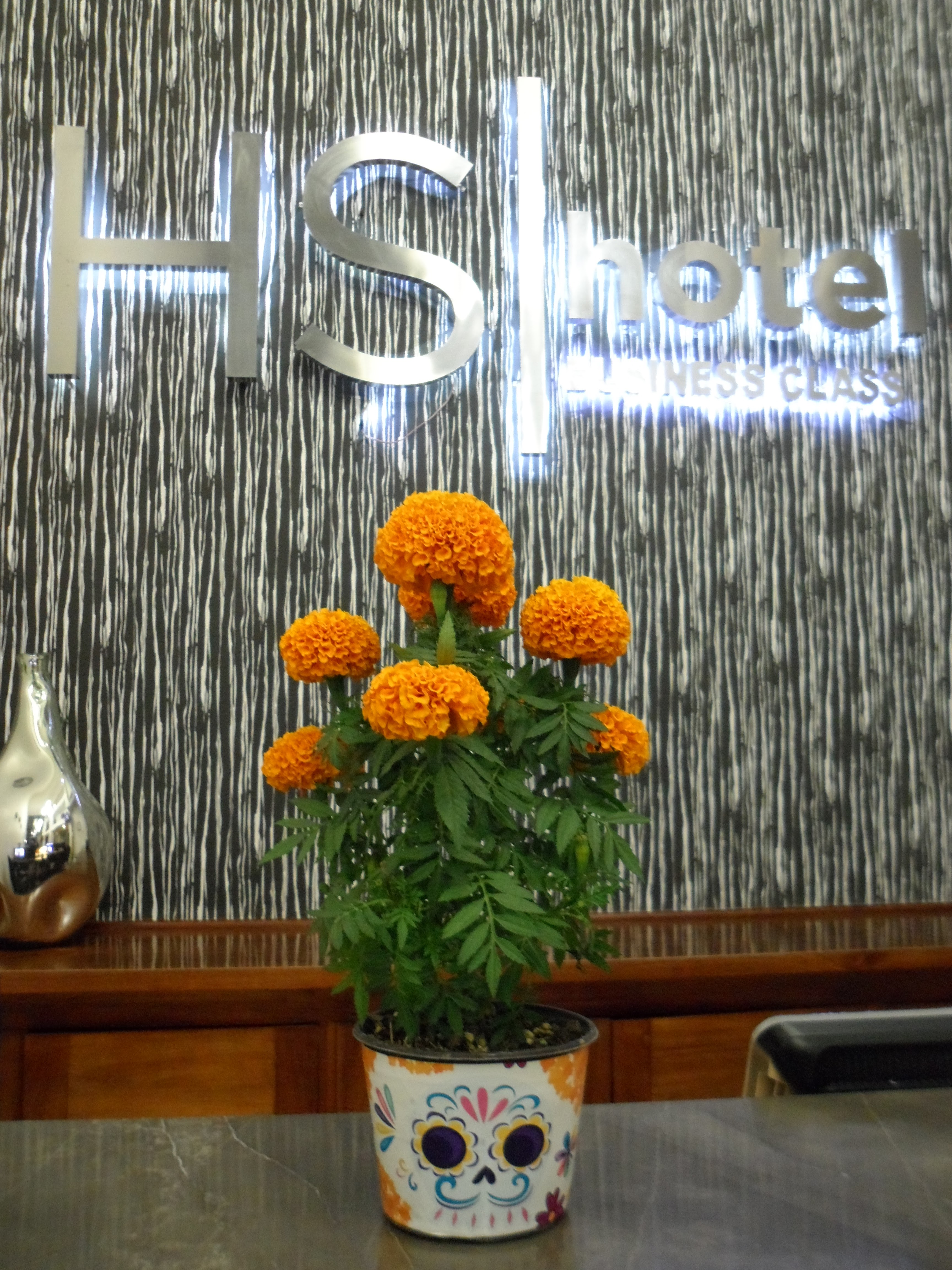 Restaurante Bar Fray Bernardino image 10