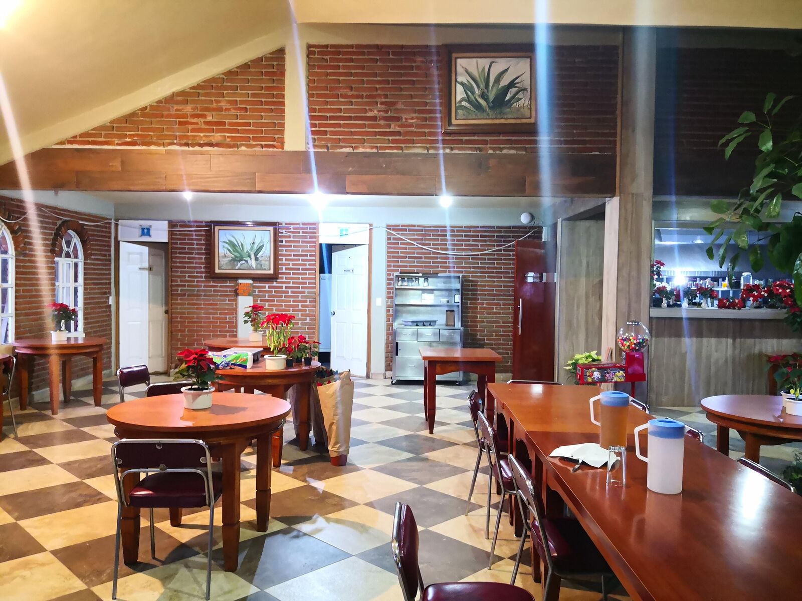 Mi Ranchito image 8