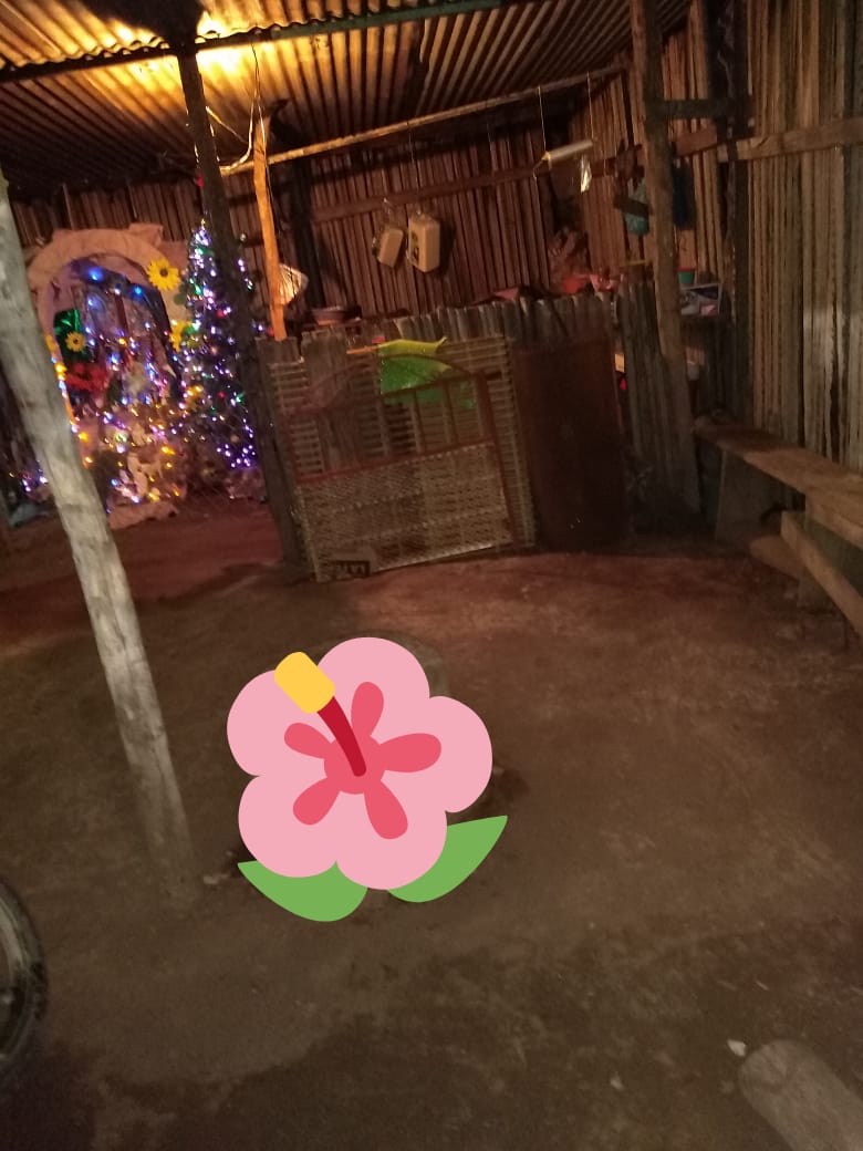 Taqueria Mi Lupita image 2
