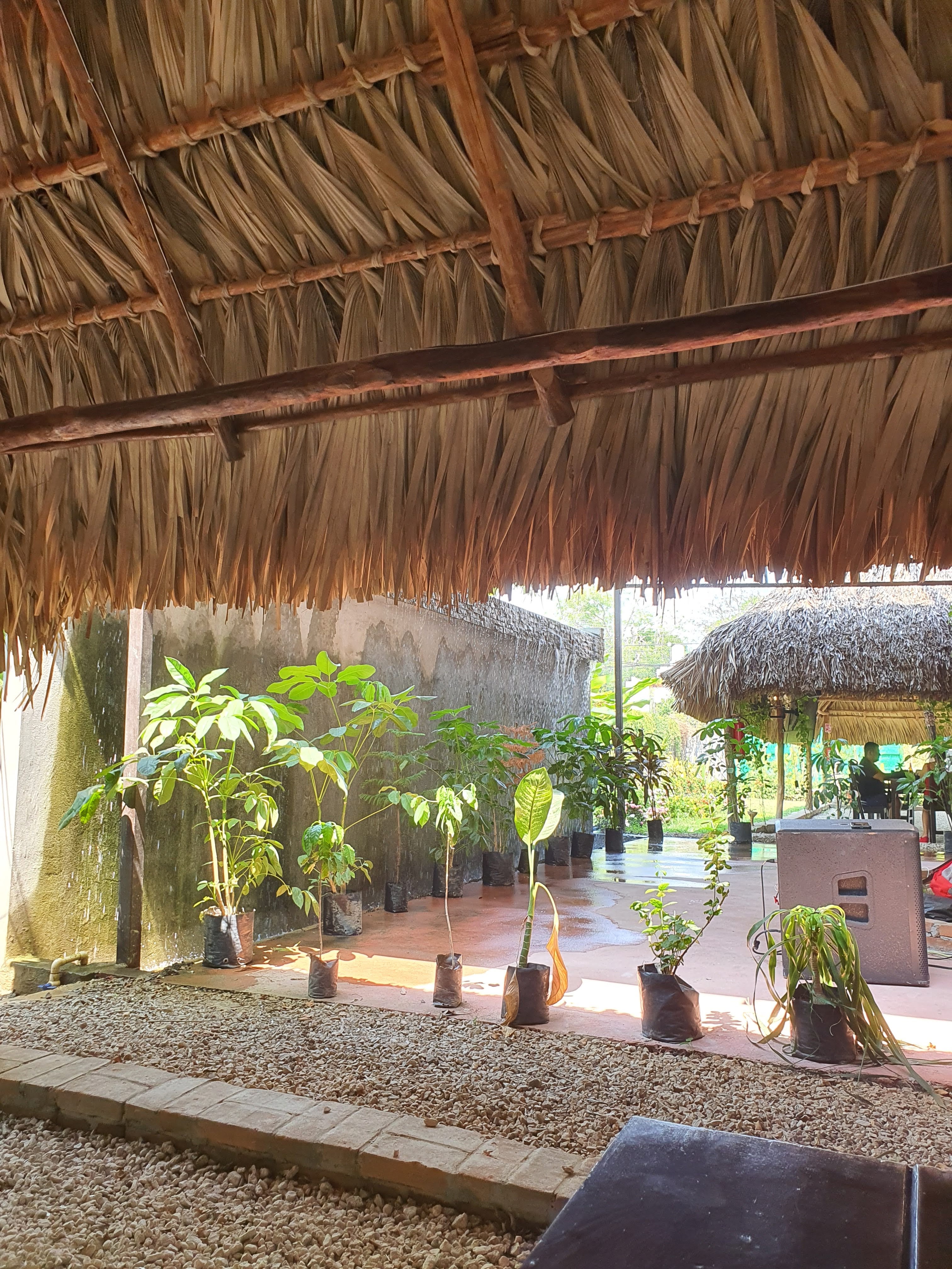 Rutilos Restaurante image 3