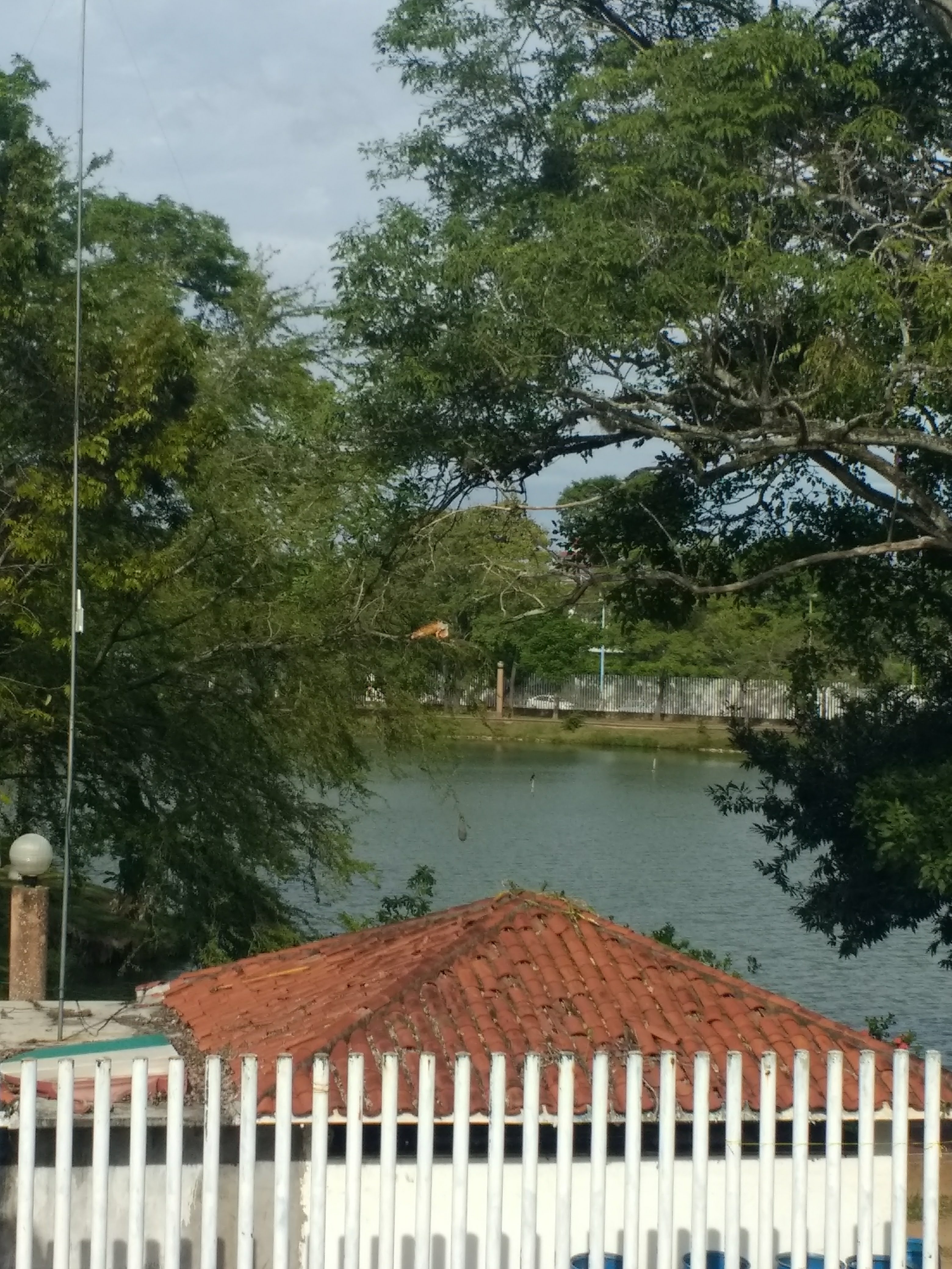 Restaurante El Macuilis image 9