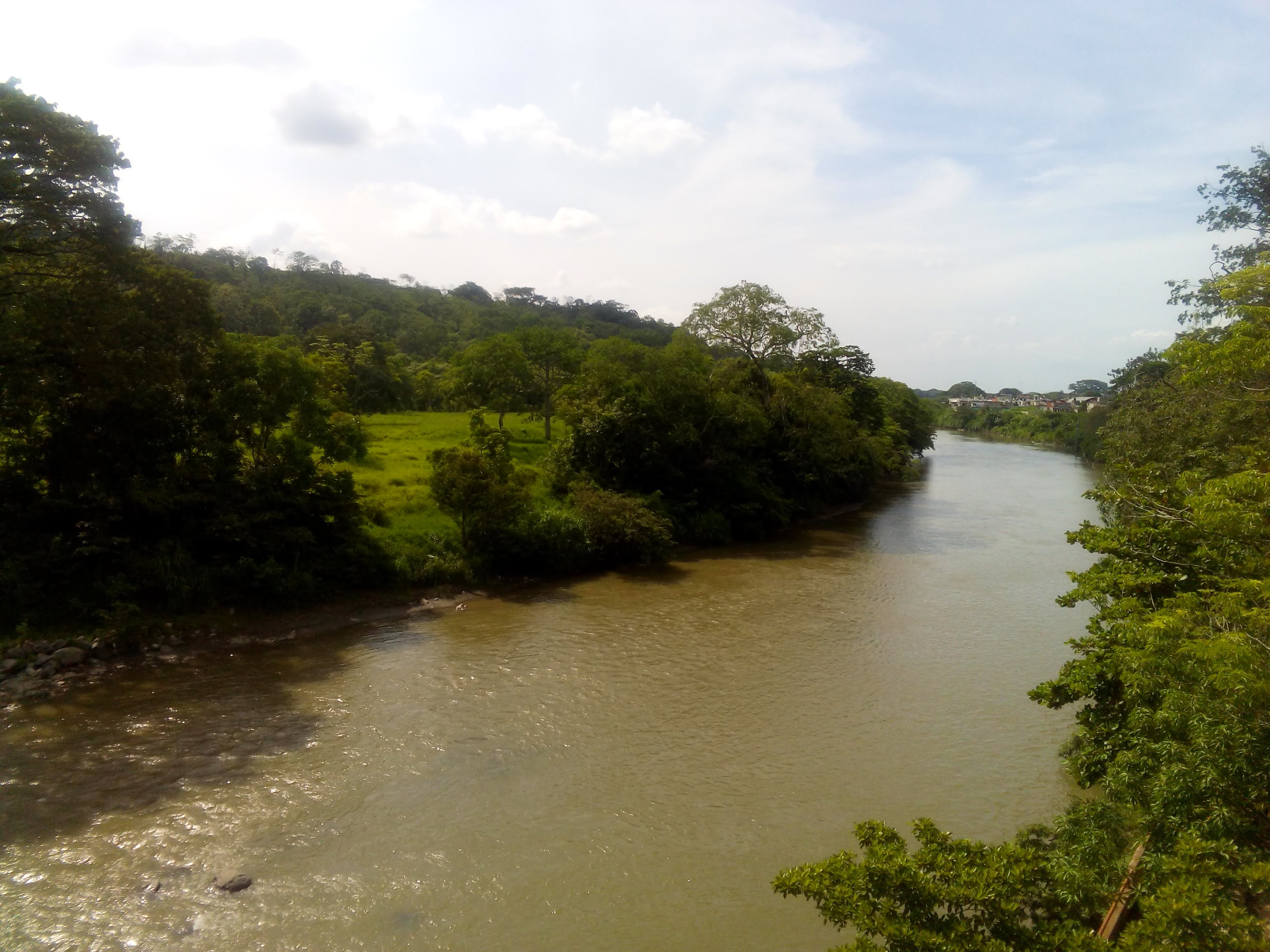 Restaurant Viole image 6