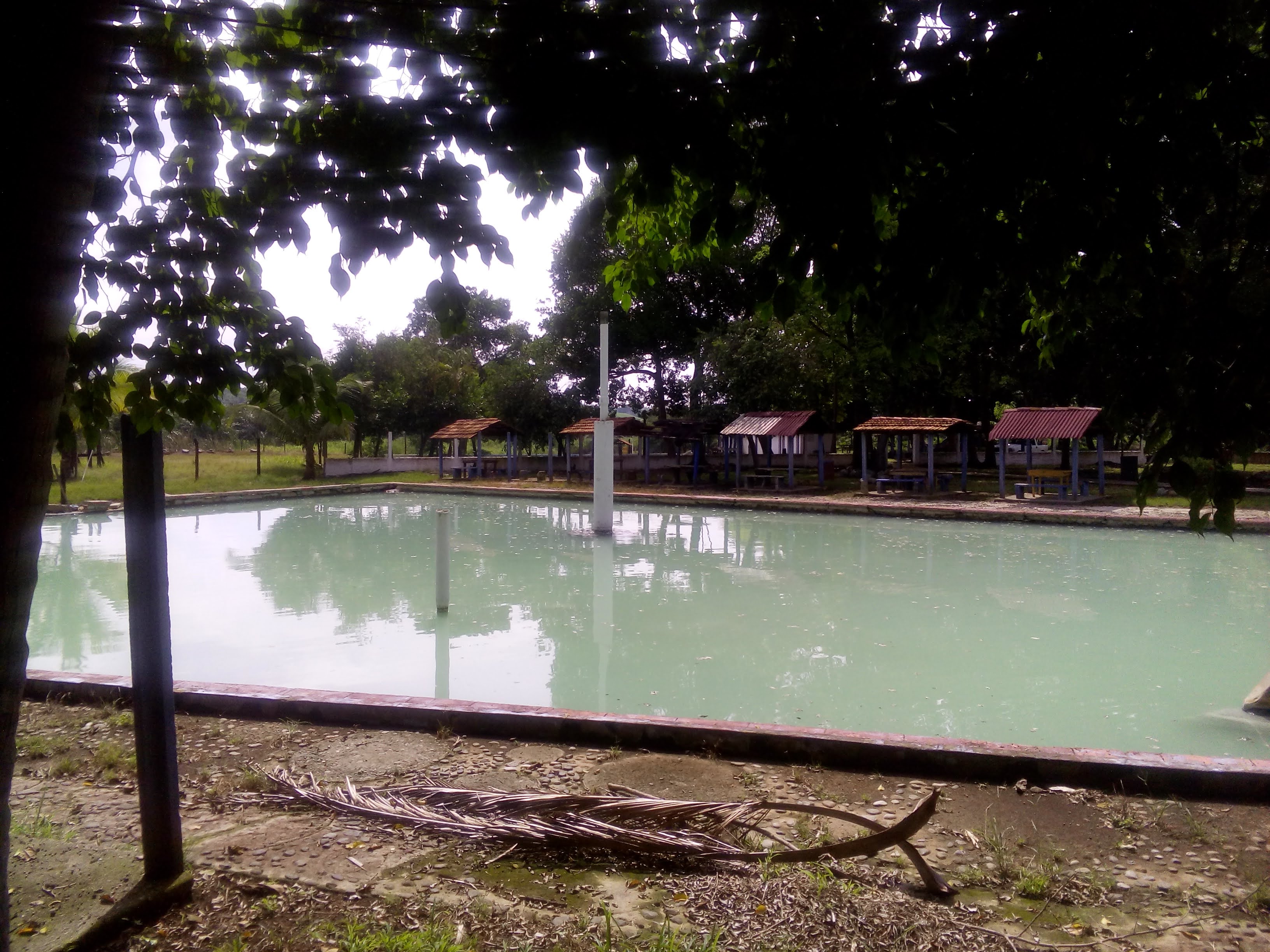 Restaurant Viole image 8