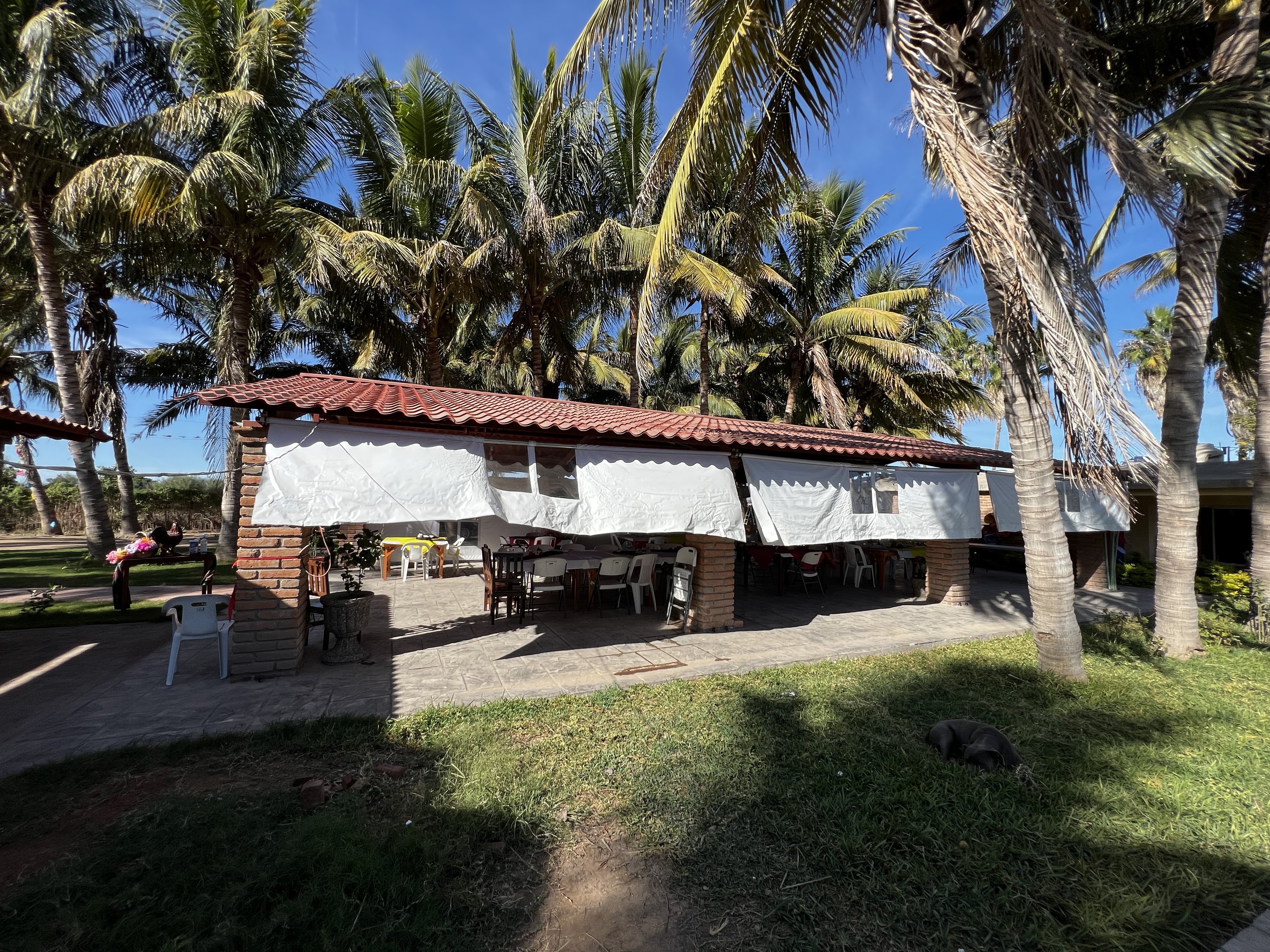 Restaurante La Patrona image 3