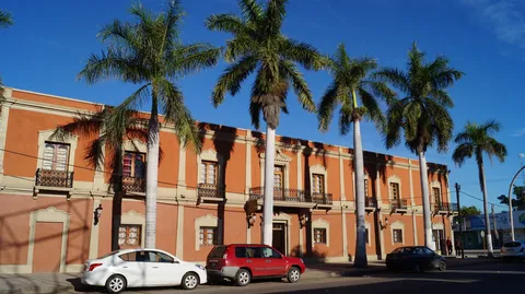 Mochis Restaurant image 6