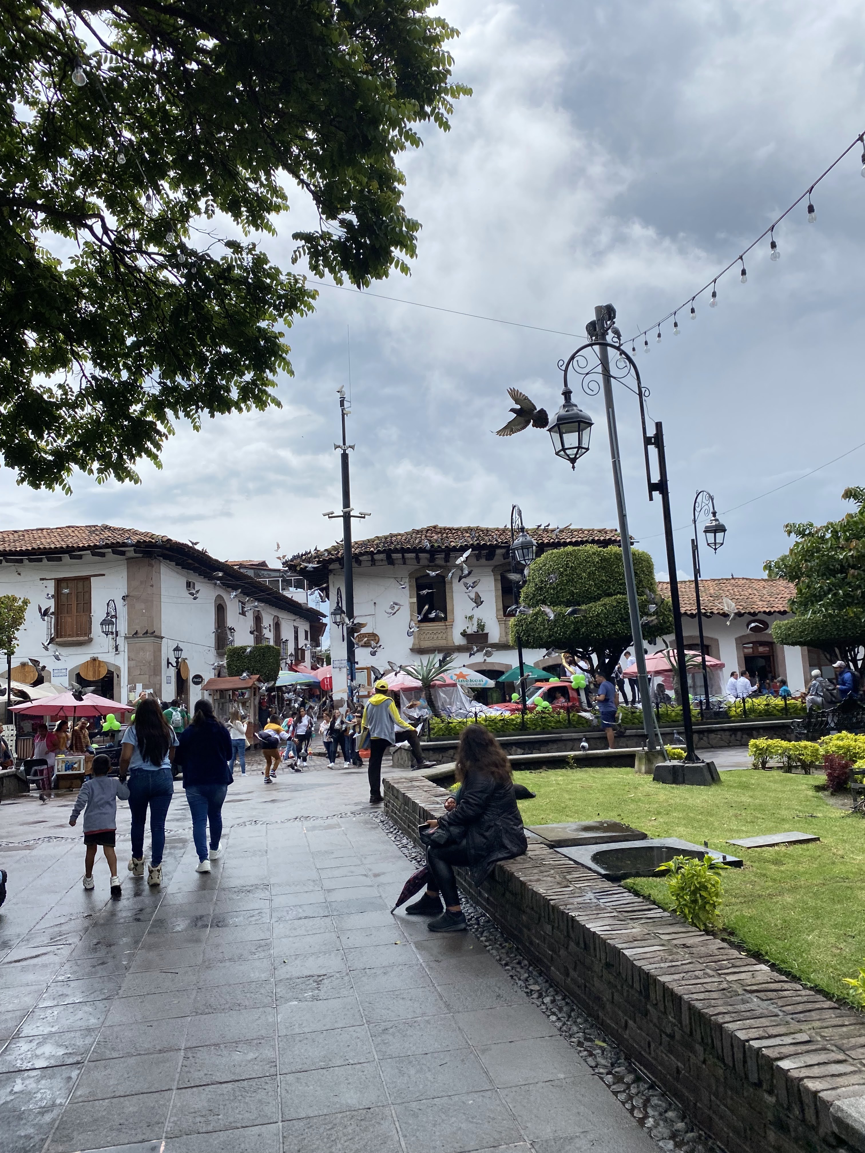 Alma Edith Restaurante Bar image 4