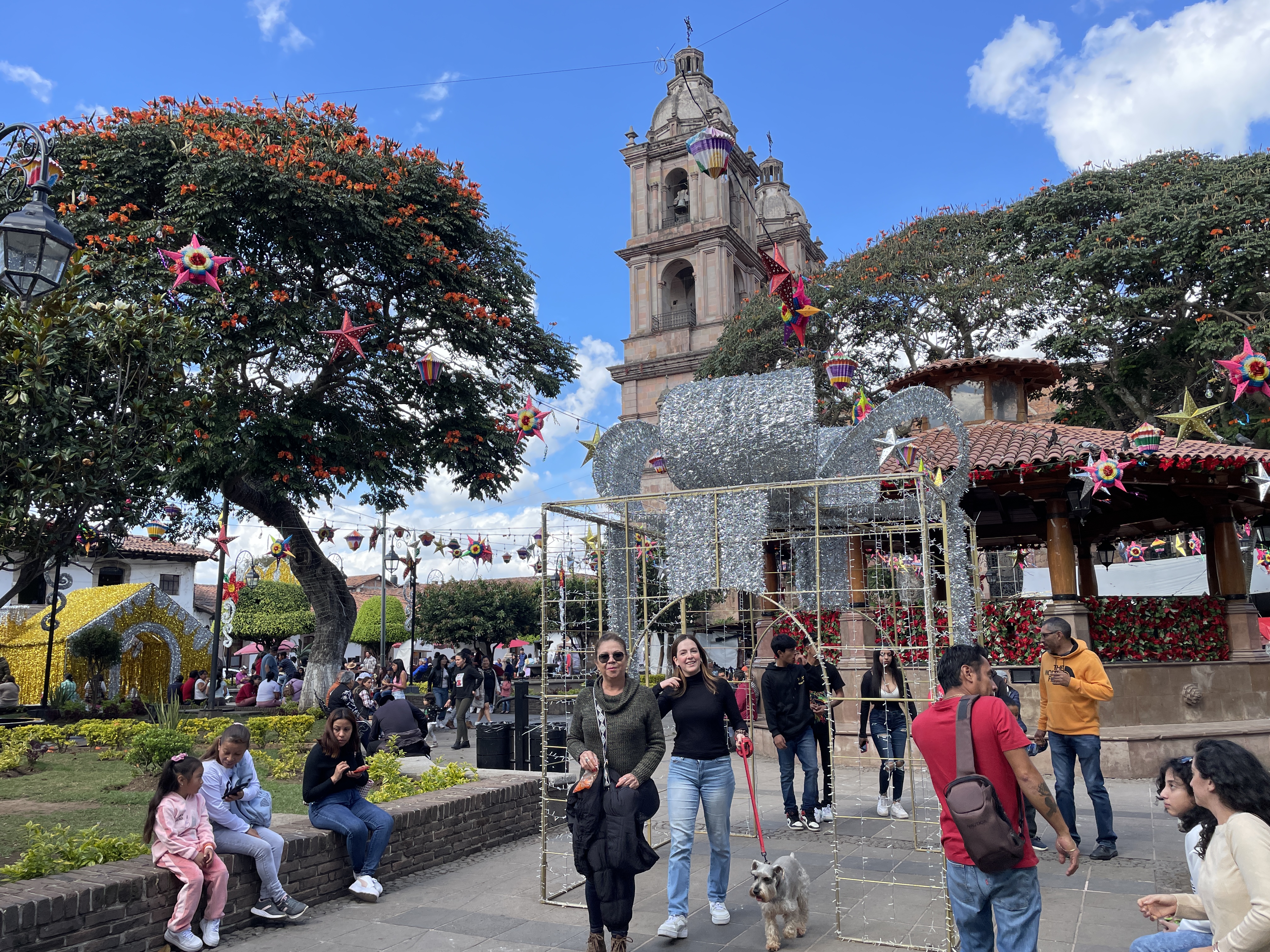 Alma Edith Restaurante Bar image 5