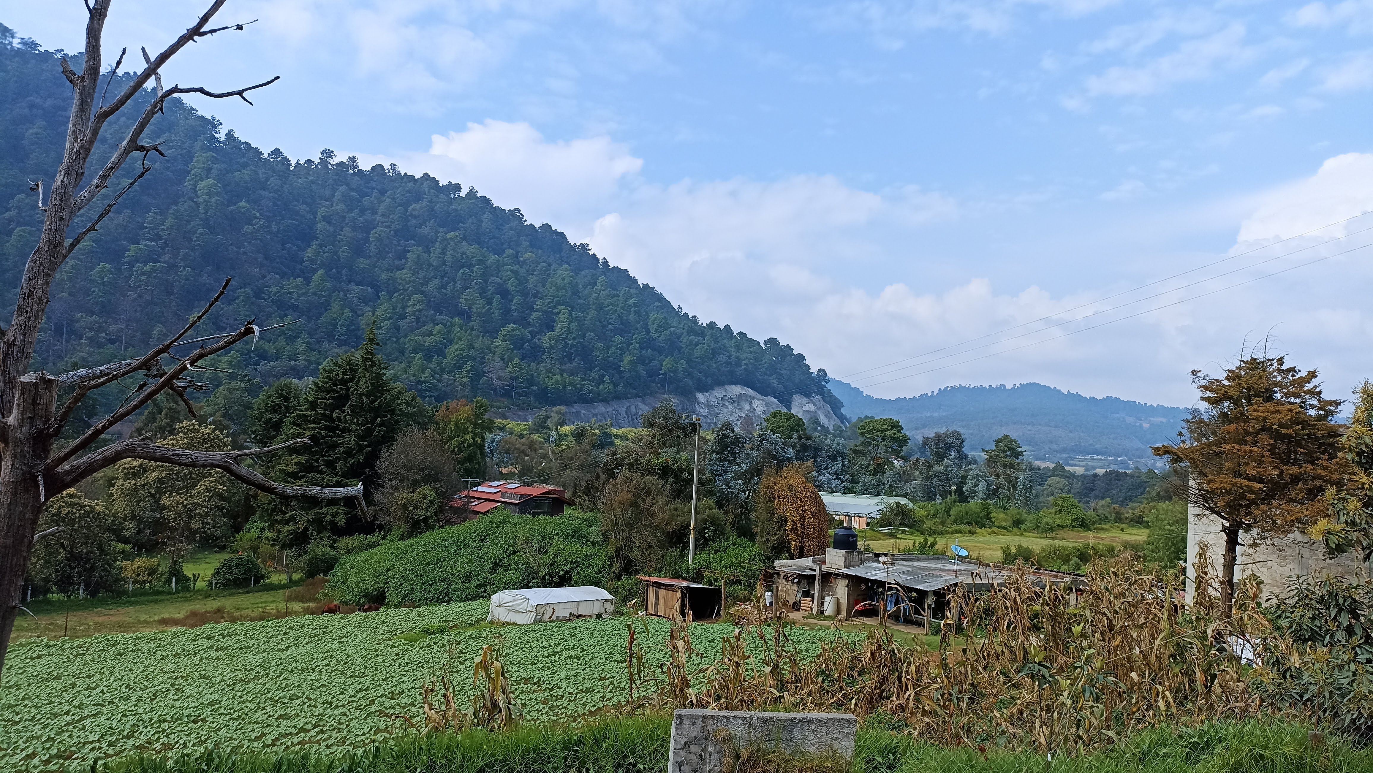 Marisquería Jacqueline Buffet image 10