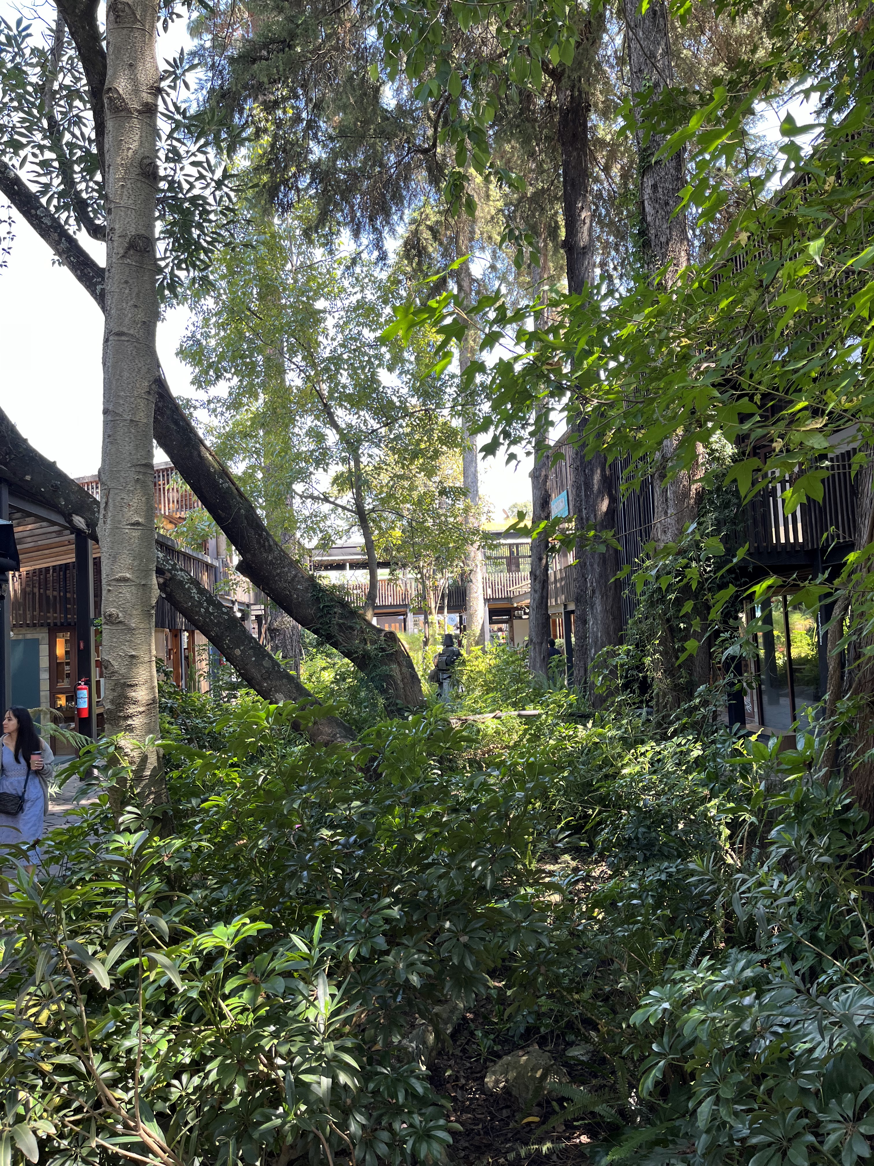 Libre Restaurante image 4