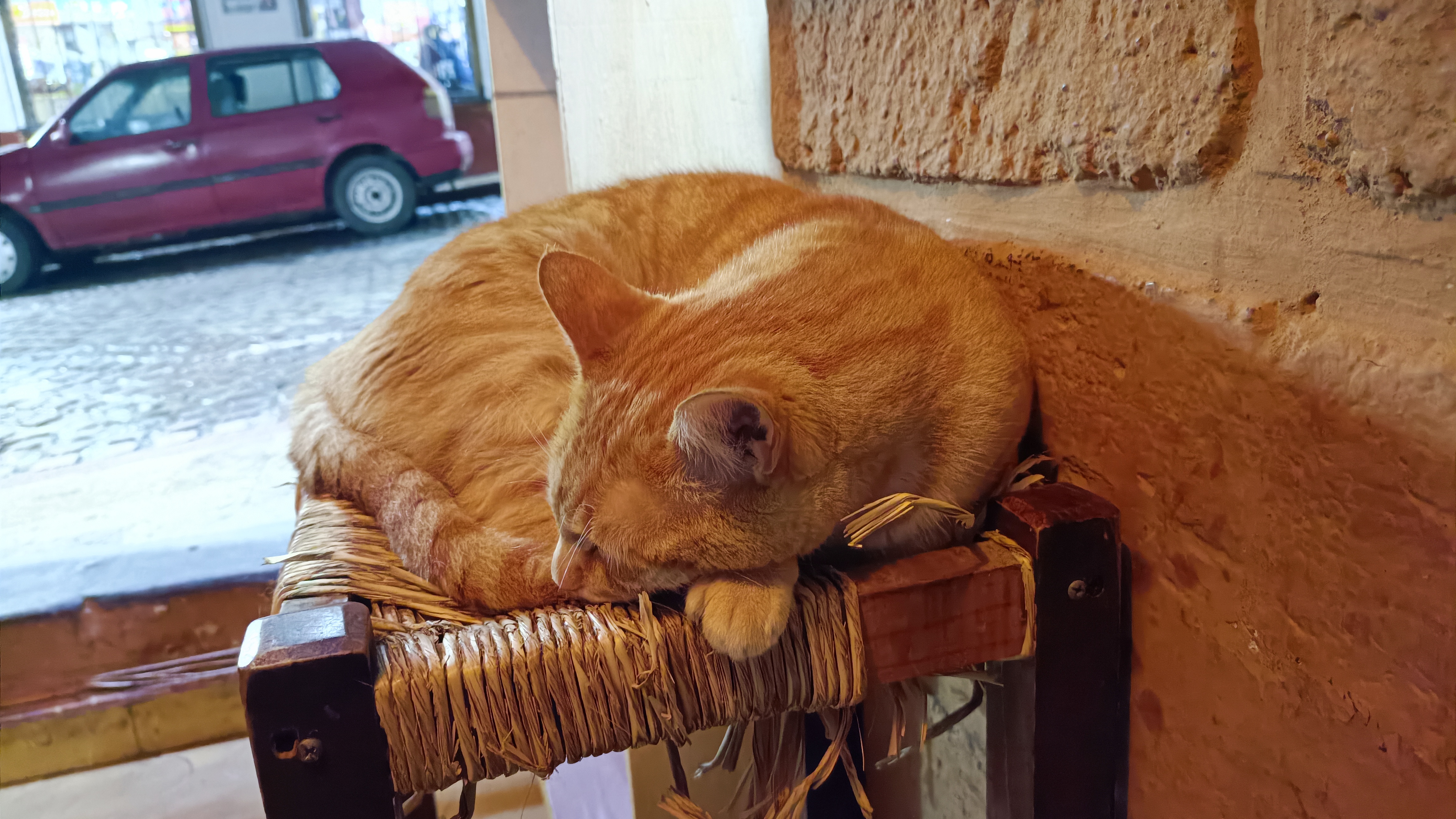 La Cochinita De Valle image 3