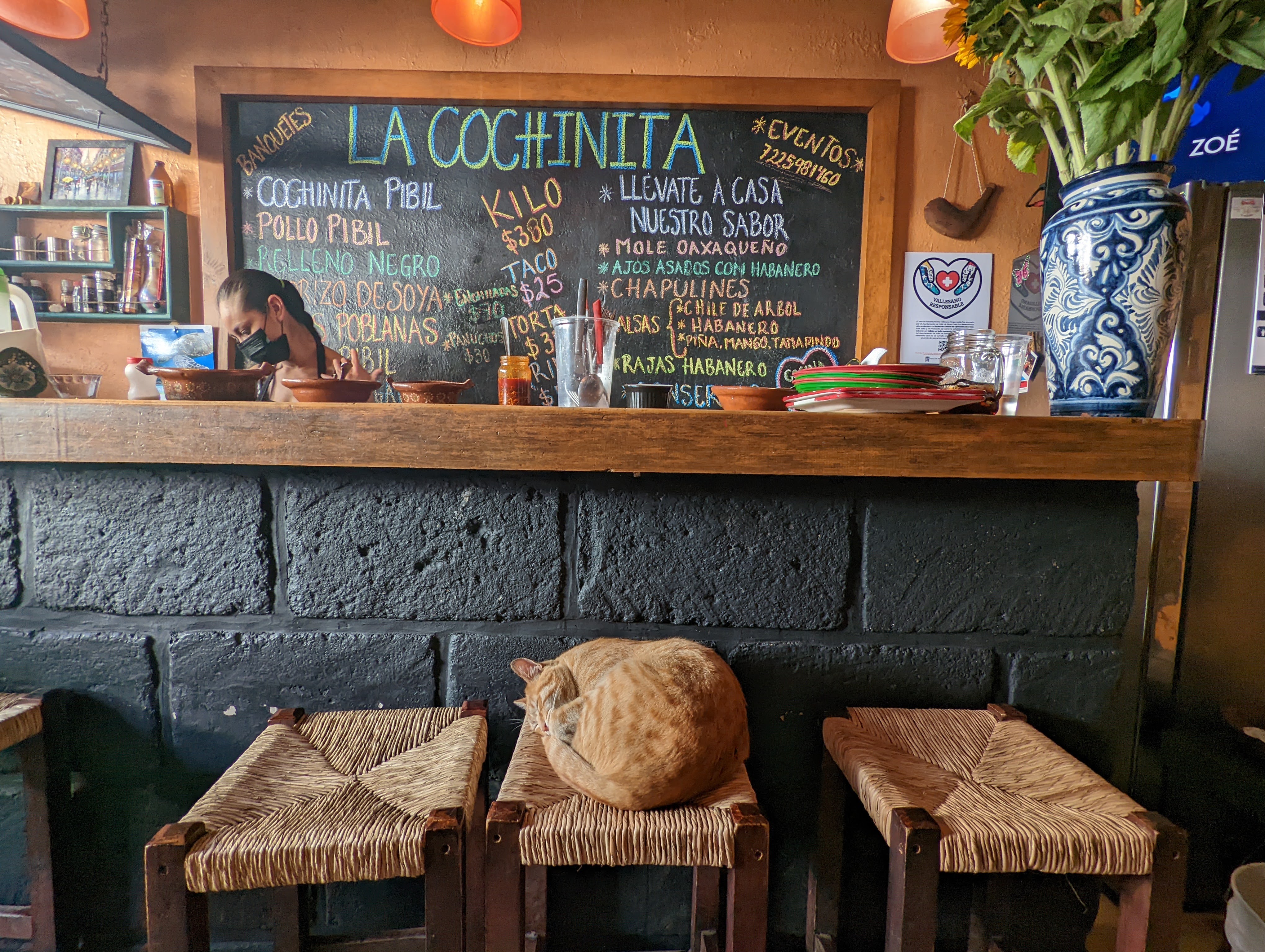 La Cochinita De Valle image 6