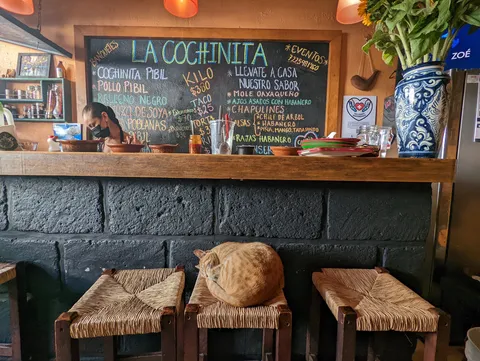 La Cochinita De Valle image 6