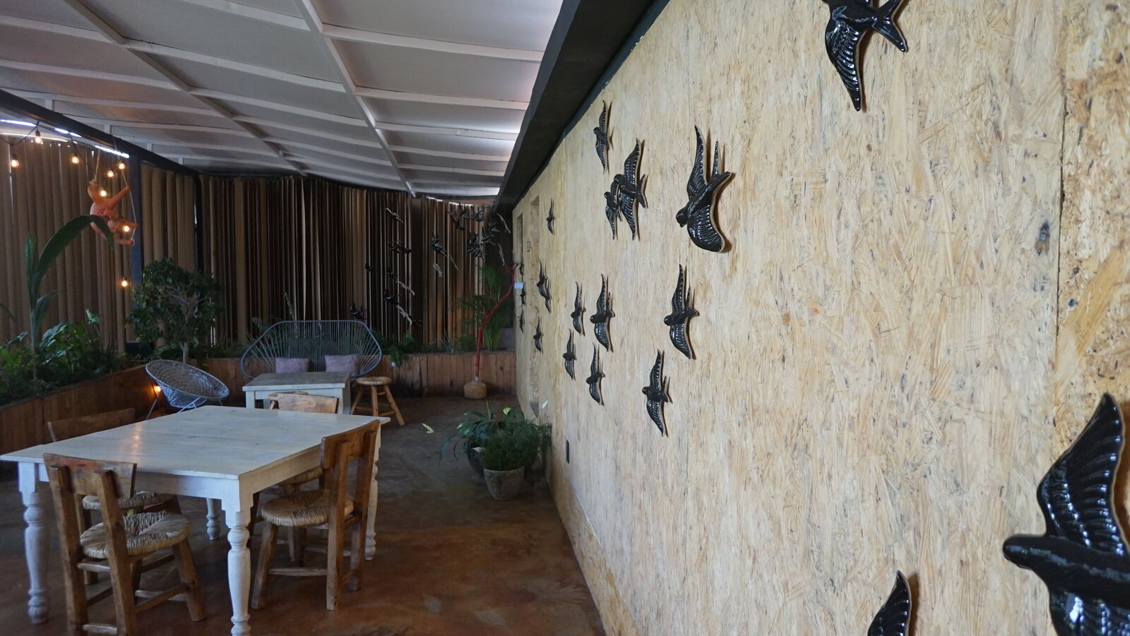 El Punto image 8