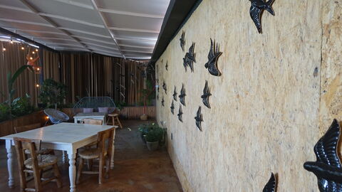 El Punto image 8