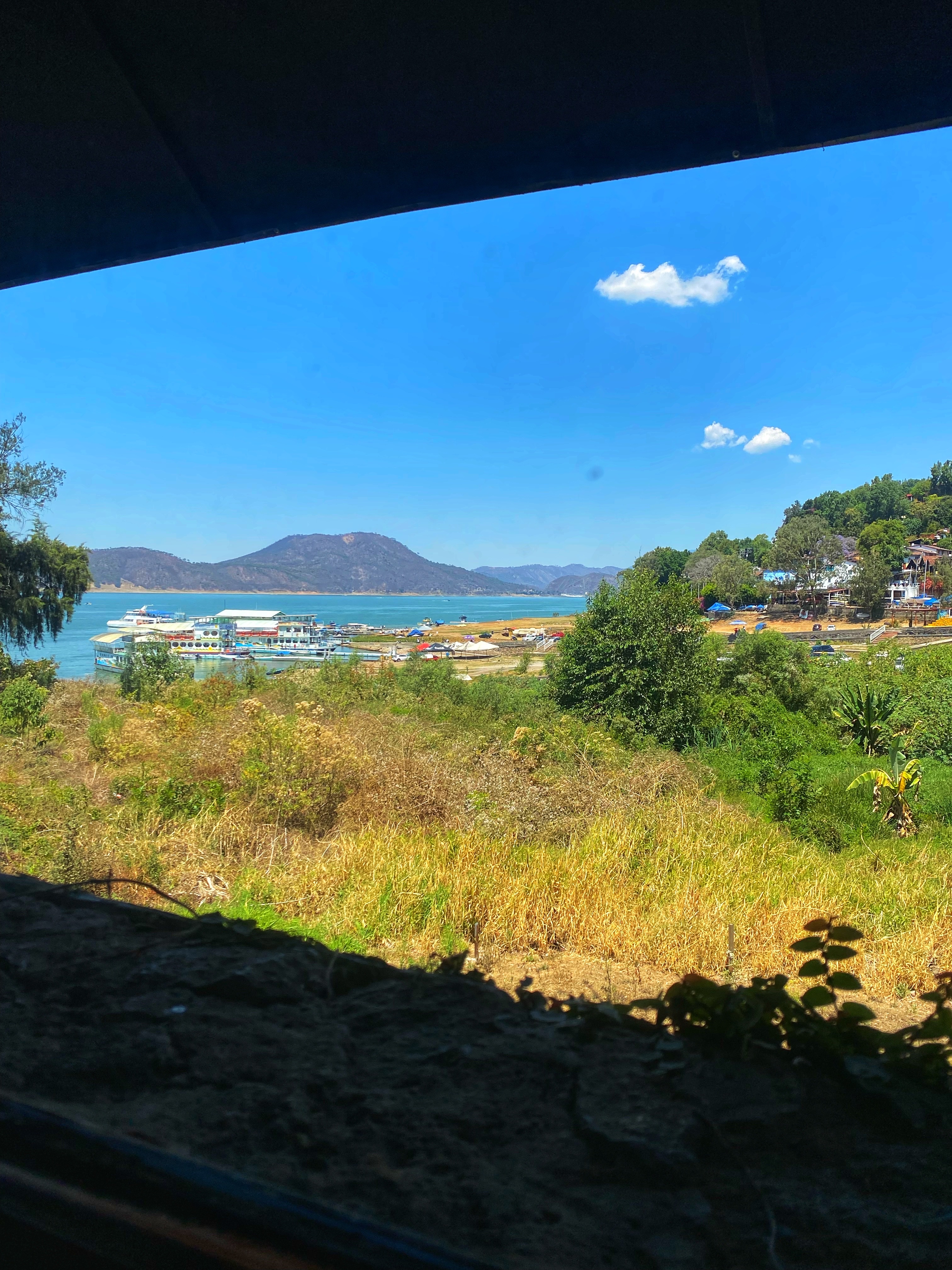 Lagartos Bar image 5