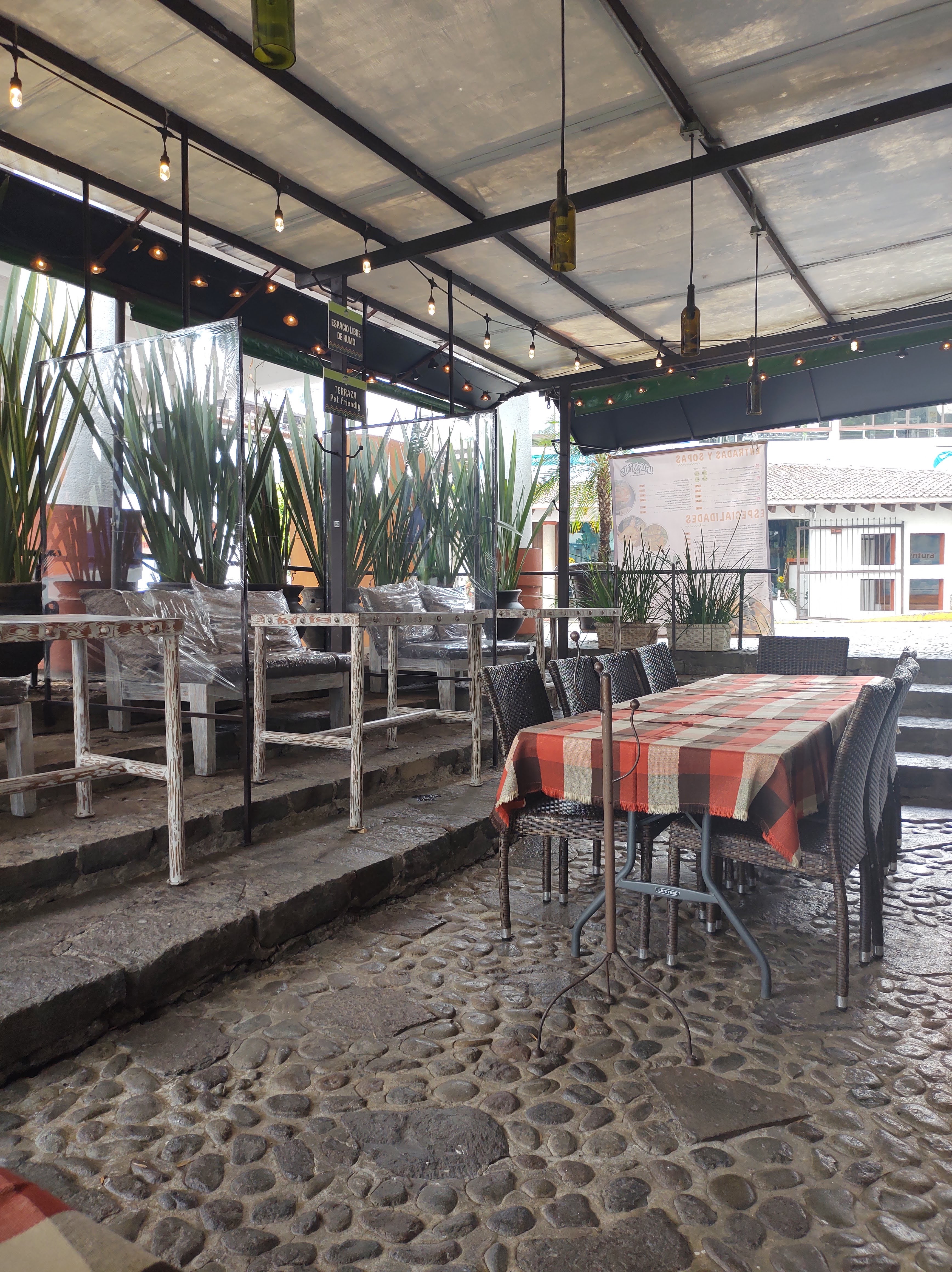 Lagartos Bar image 7