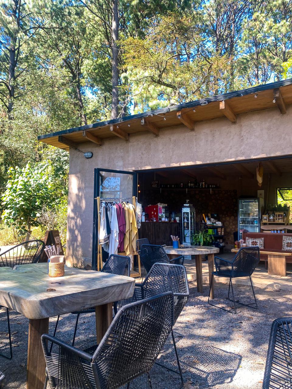 PÁJARO CAFÉ BOSQUE image 1