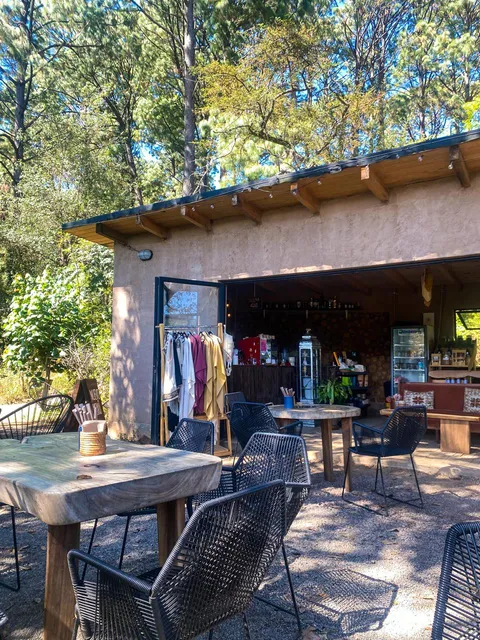 PÁJARO CAFÉ BOSQUE image 1