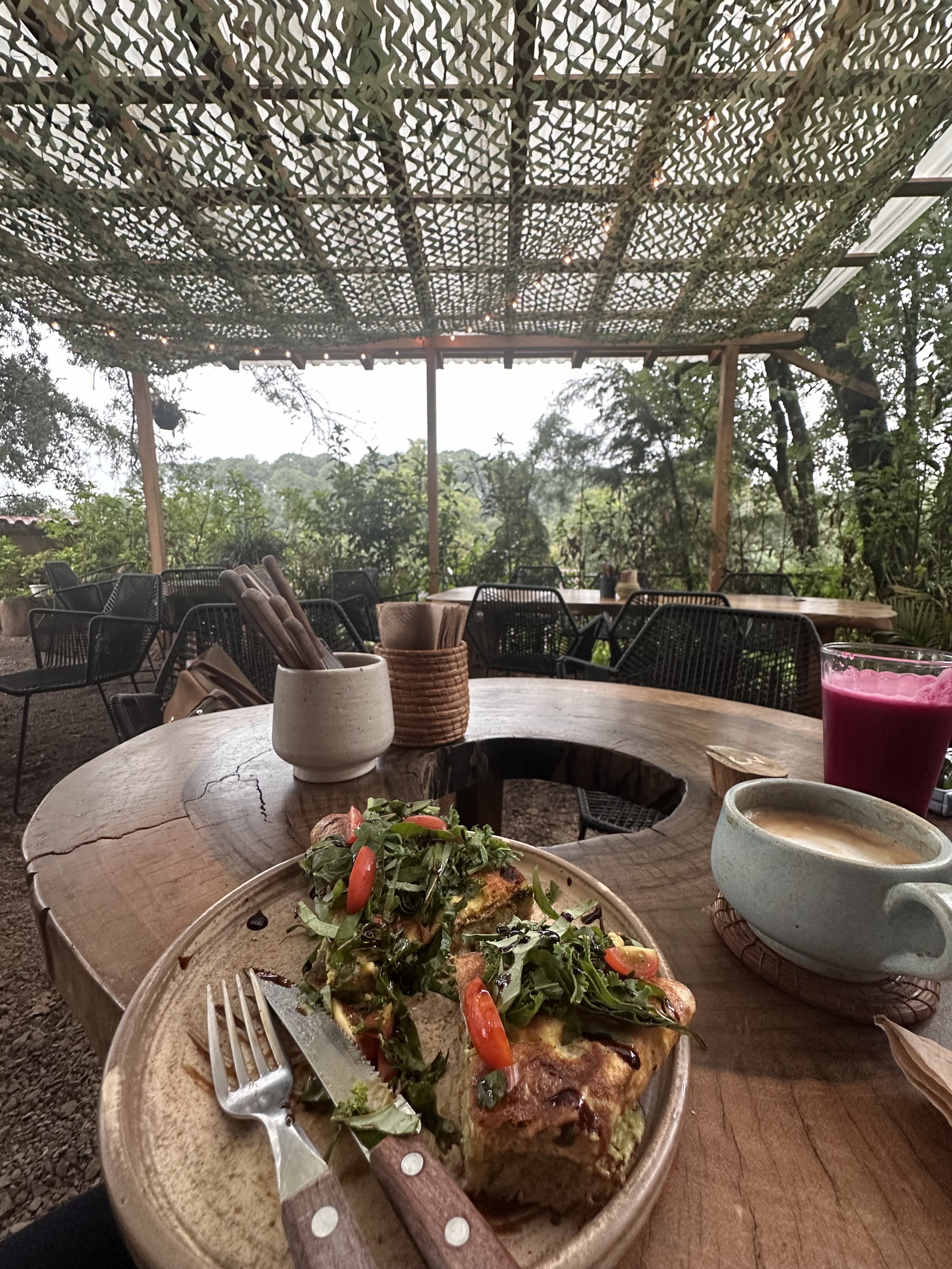 PÁJARO CAFÉ BOSQUE image 5