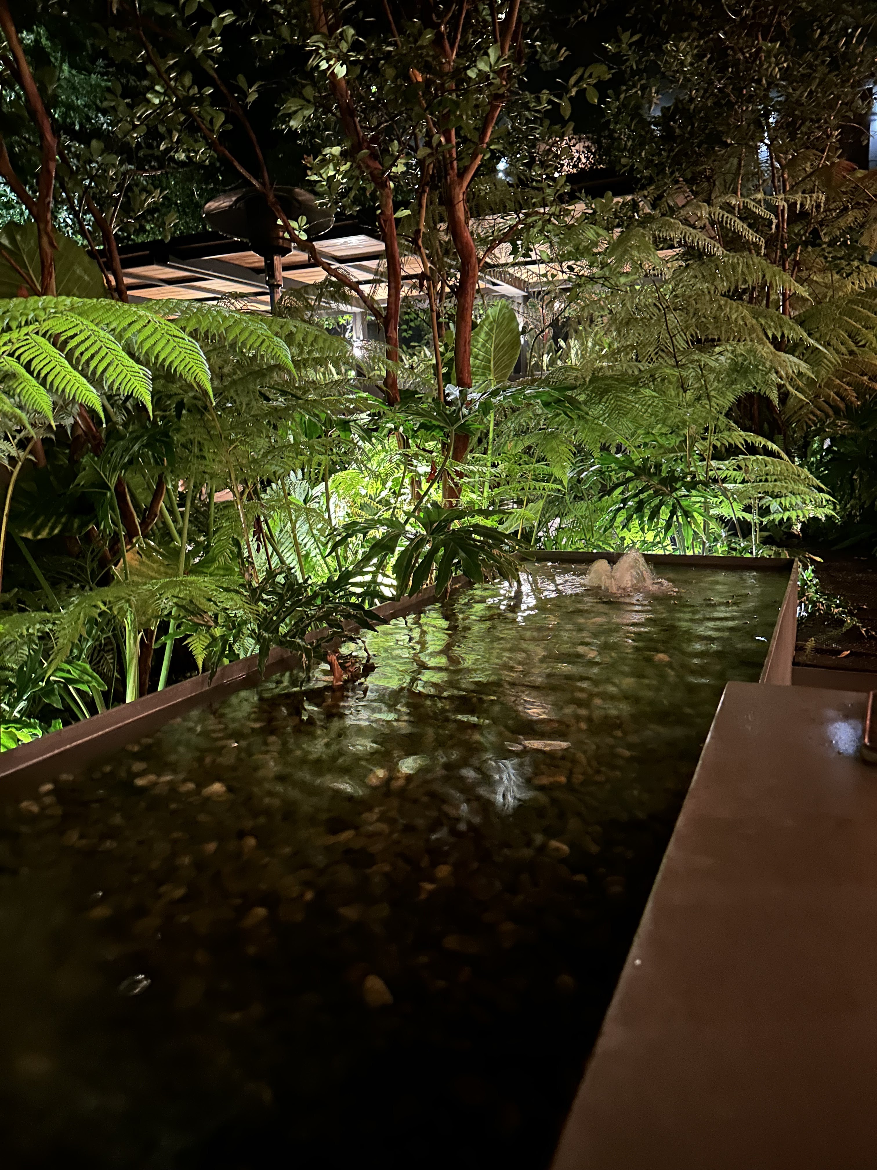 Nuestro Rodavento image 10