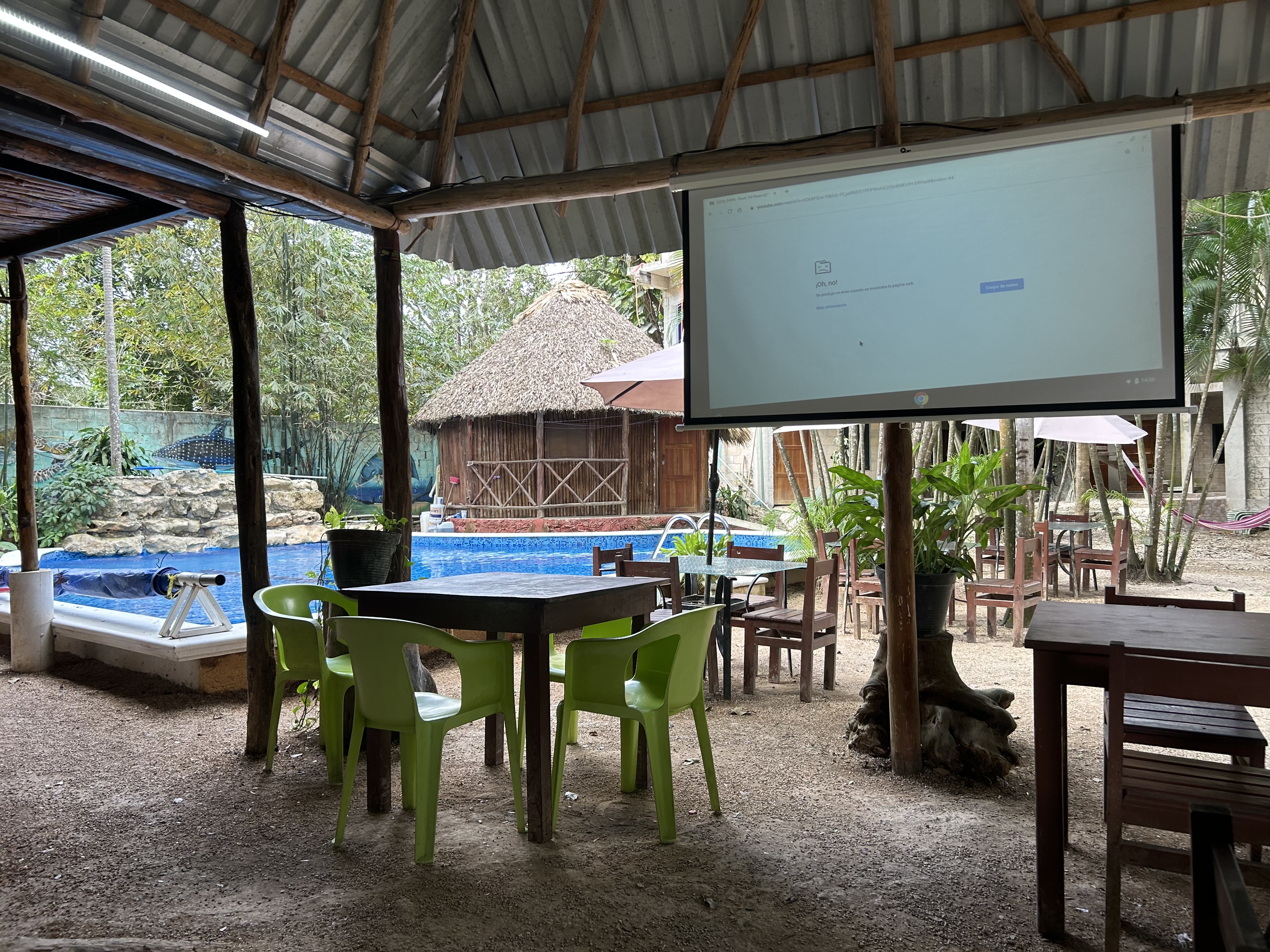 Los Bambús Restaurante & Bar-Lounge image 2