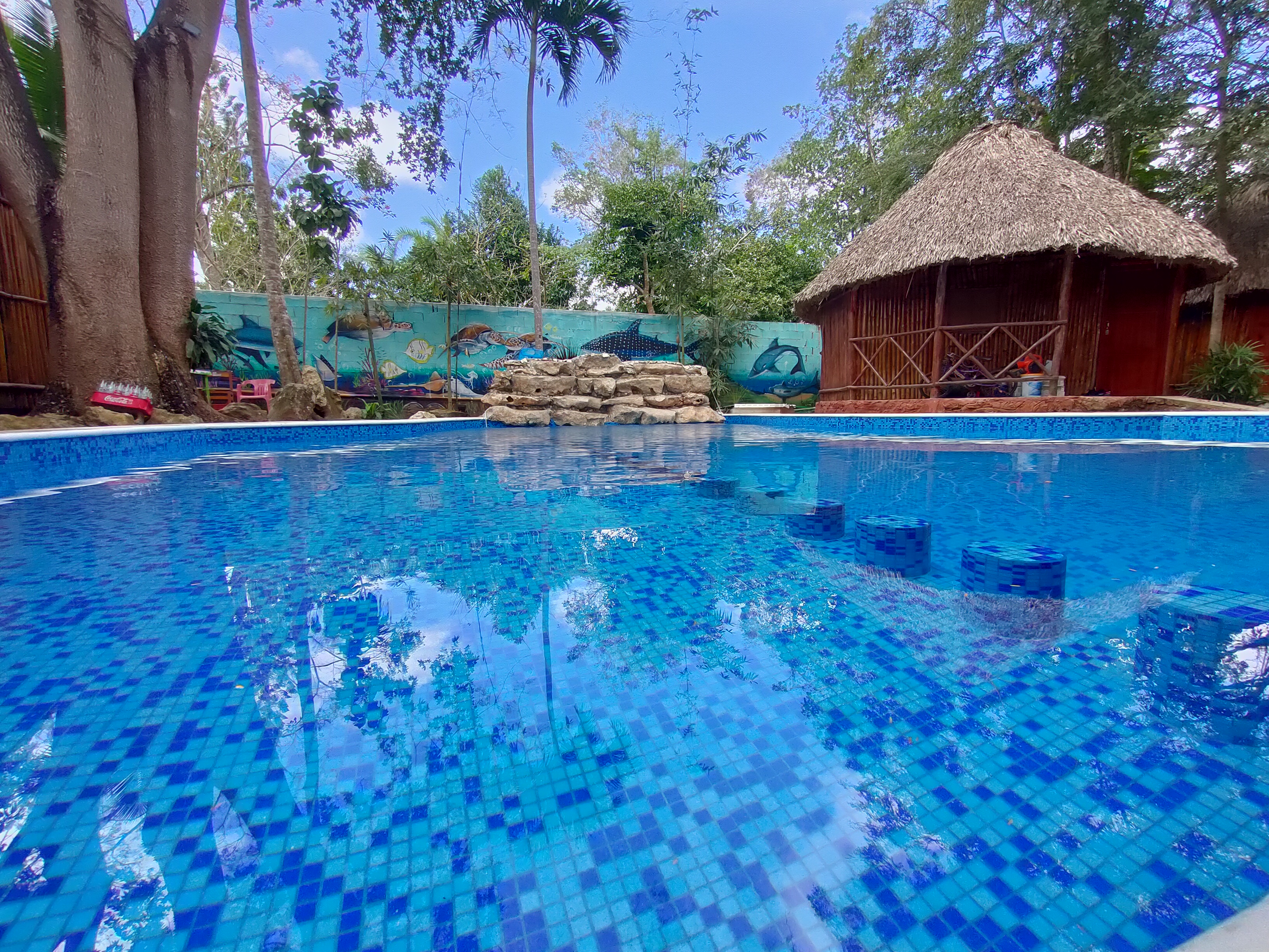 Los Bambús Restaurante & Bar-Lounge image 8