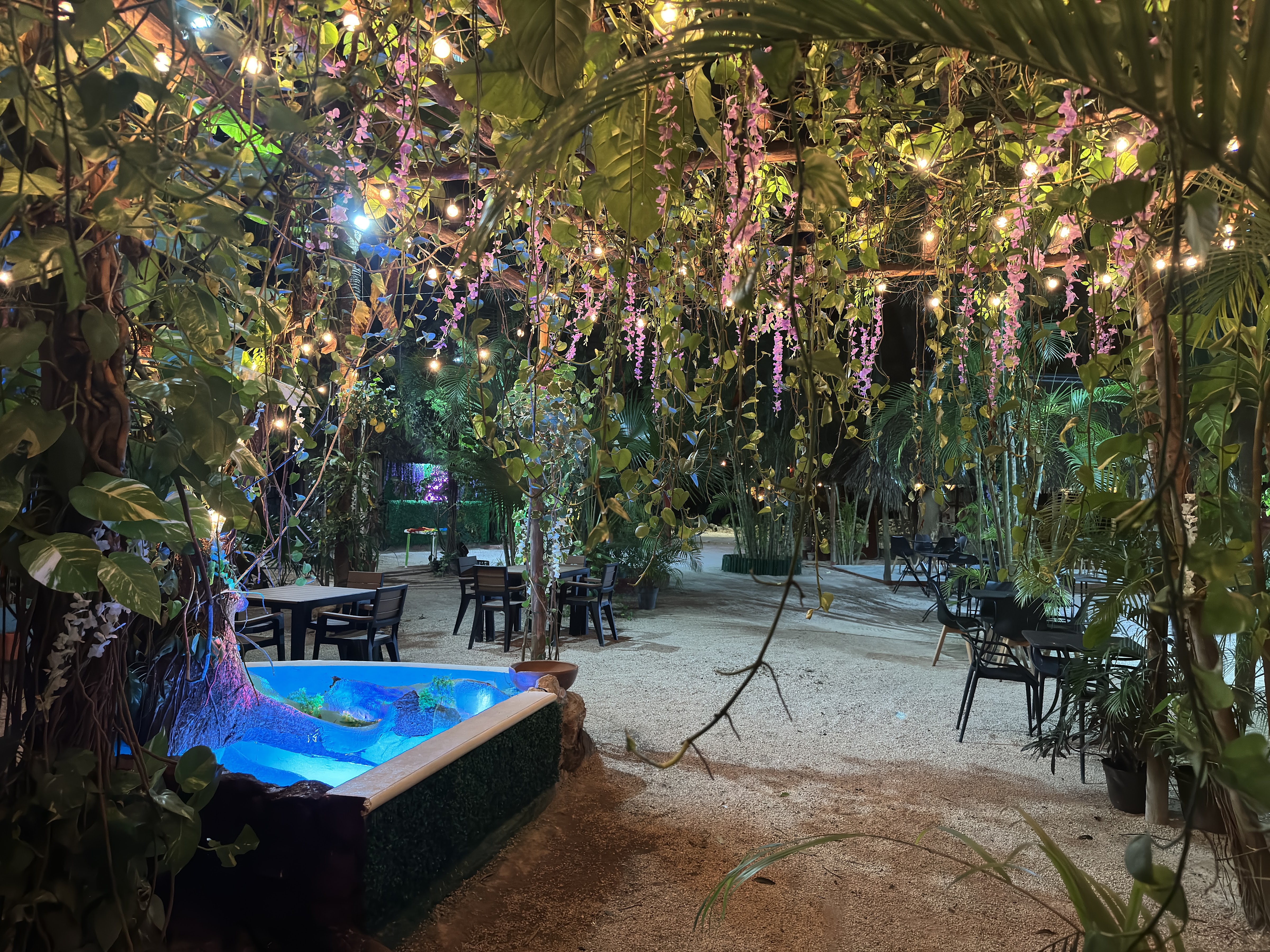 Los Bambús Restaurante & Bar-Lounge image 9