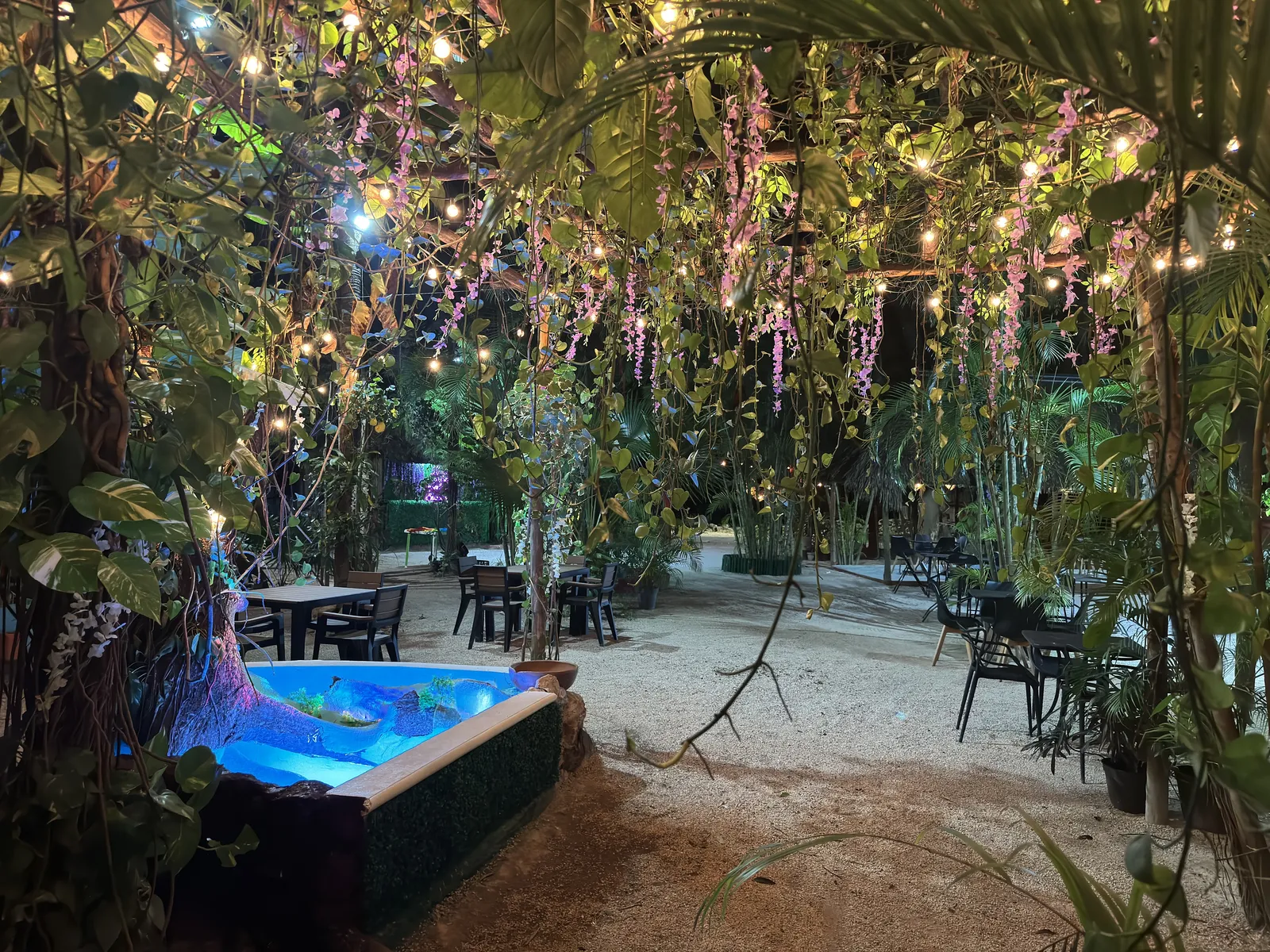 Los Bambús Restaurante & Bar-Lounge image 9