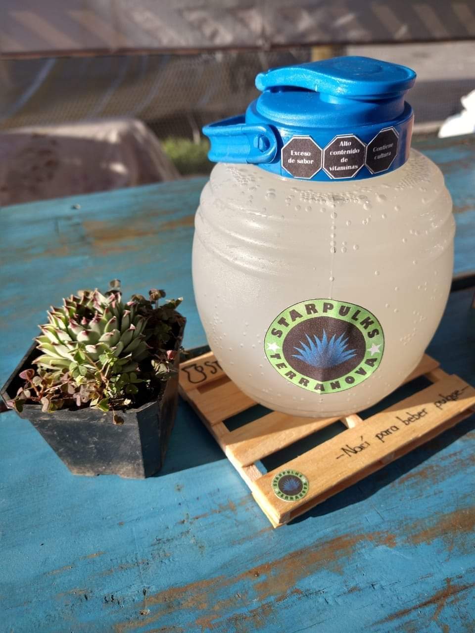 StarPulks Terranova image 1