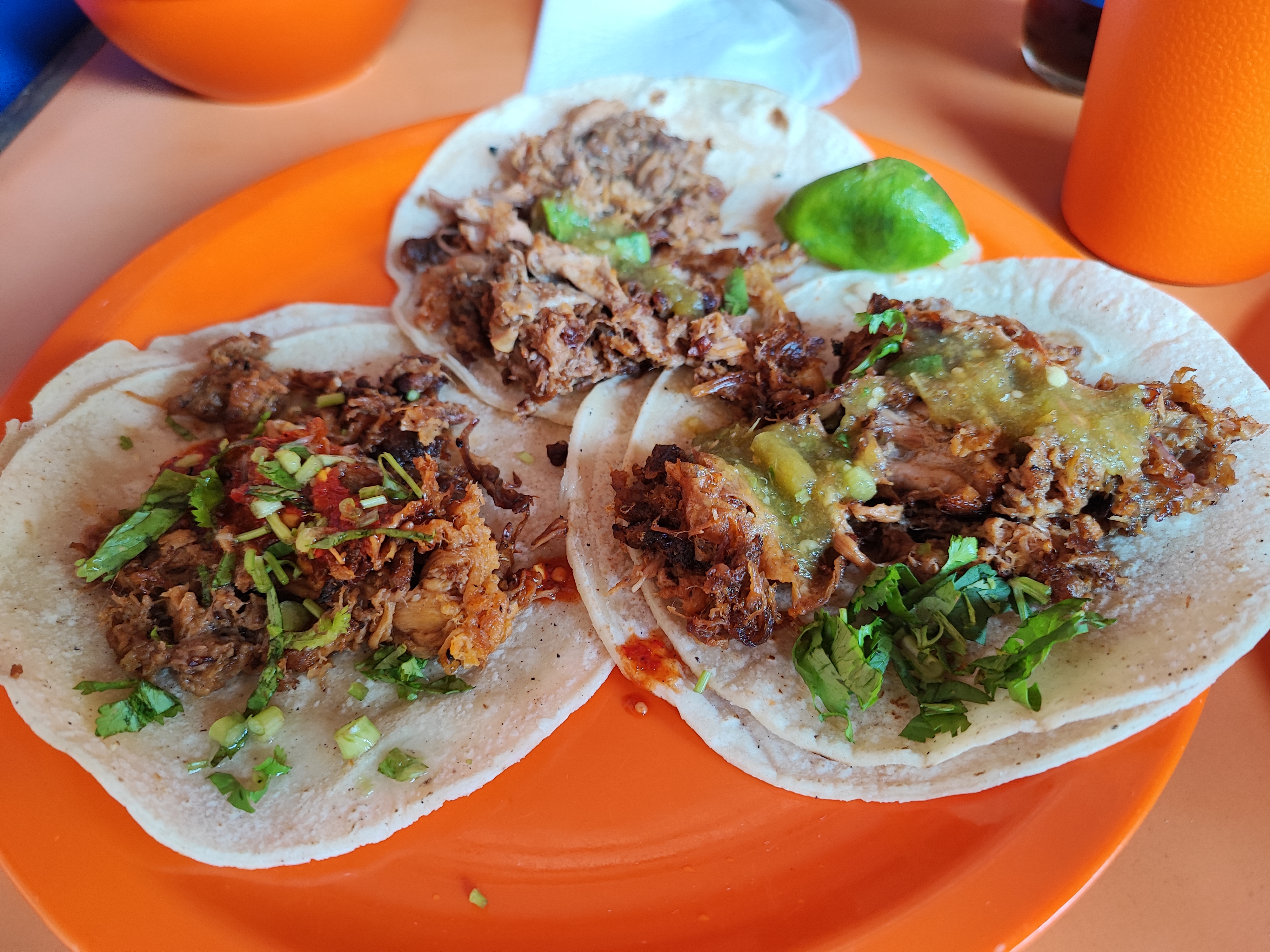 Tacomarín suc. 1 image 6