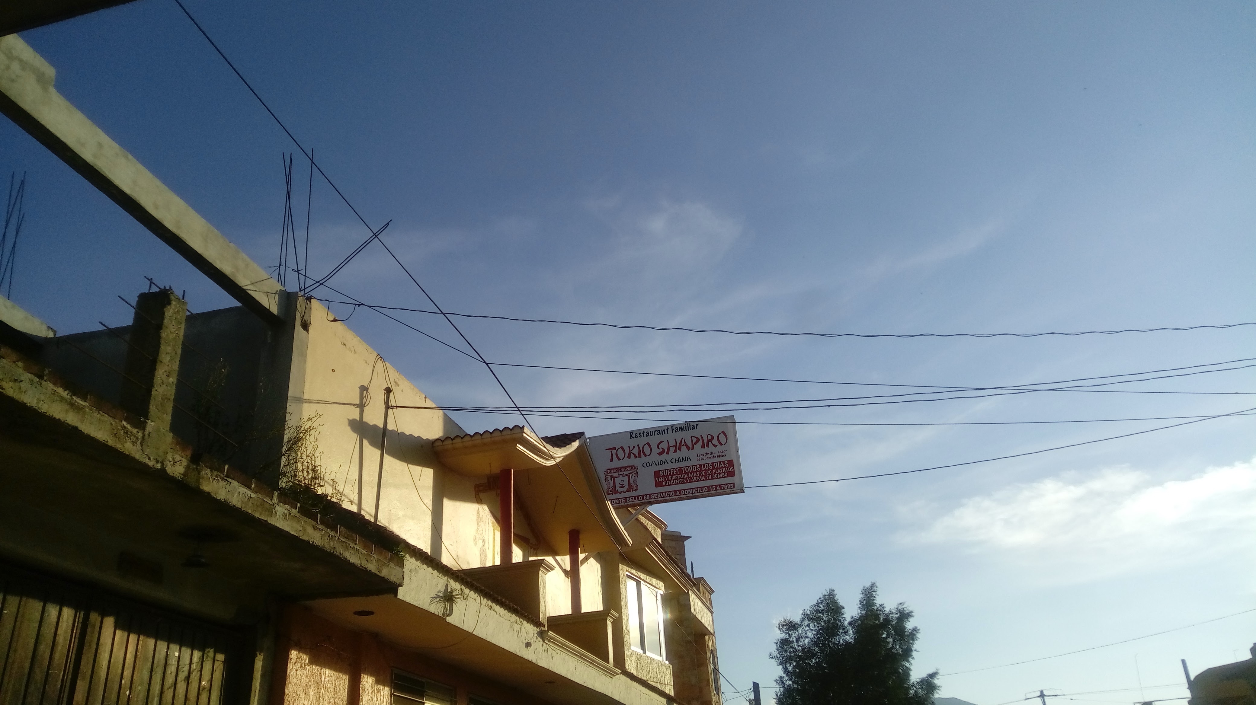 Tokio Shapiro image 8