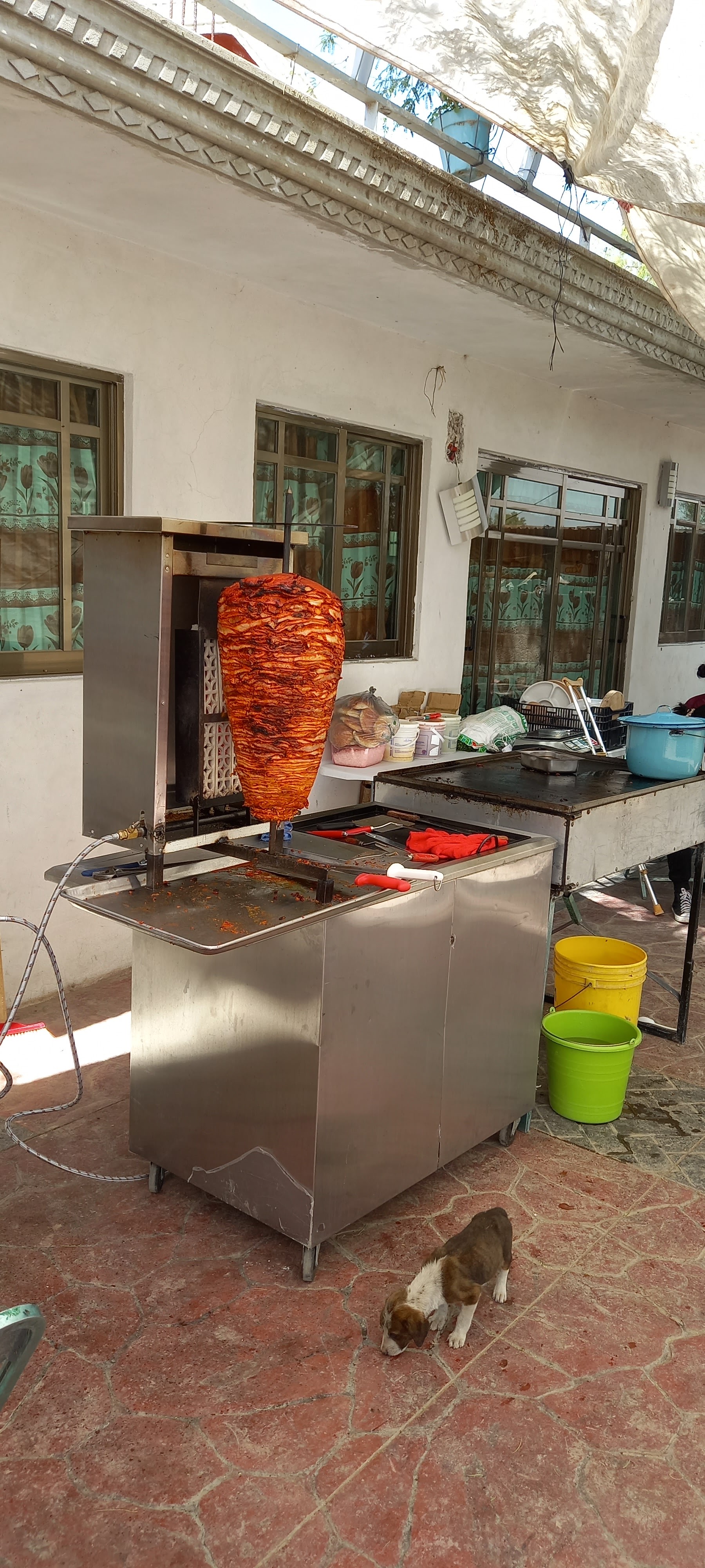 Tacos a domicilio los 3 pastorcitos image 1