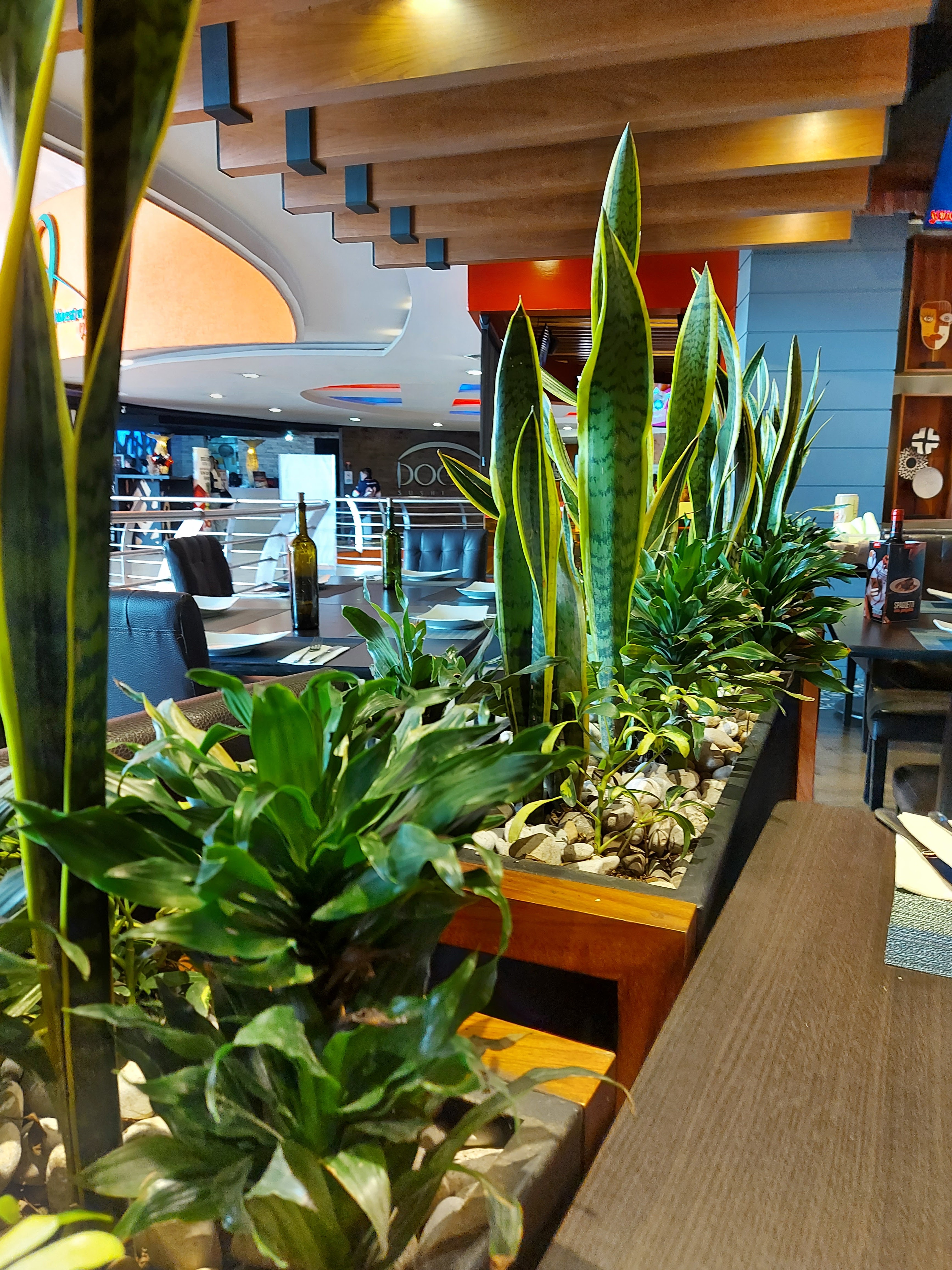 Scattola Lounge image 6