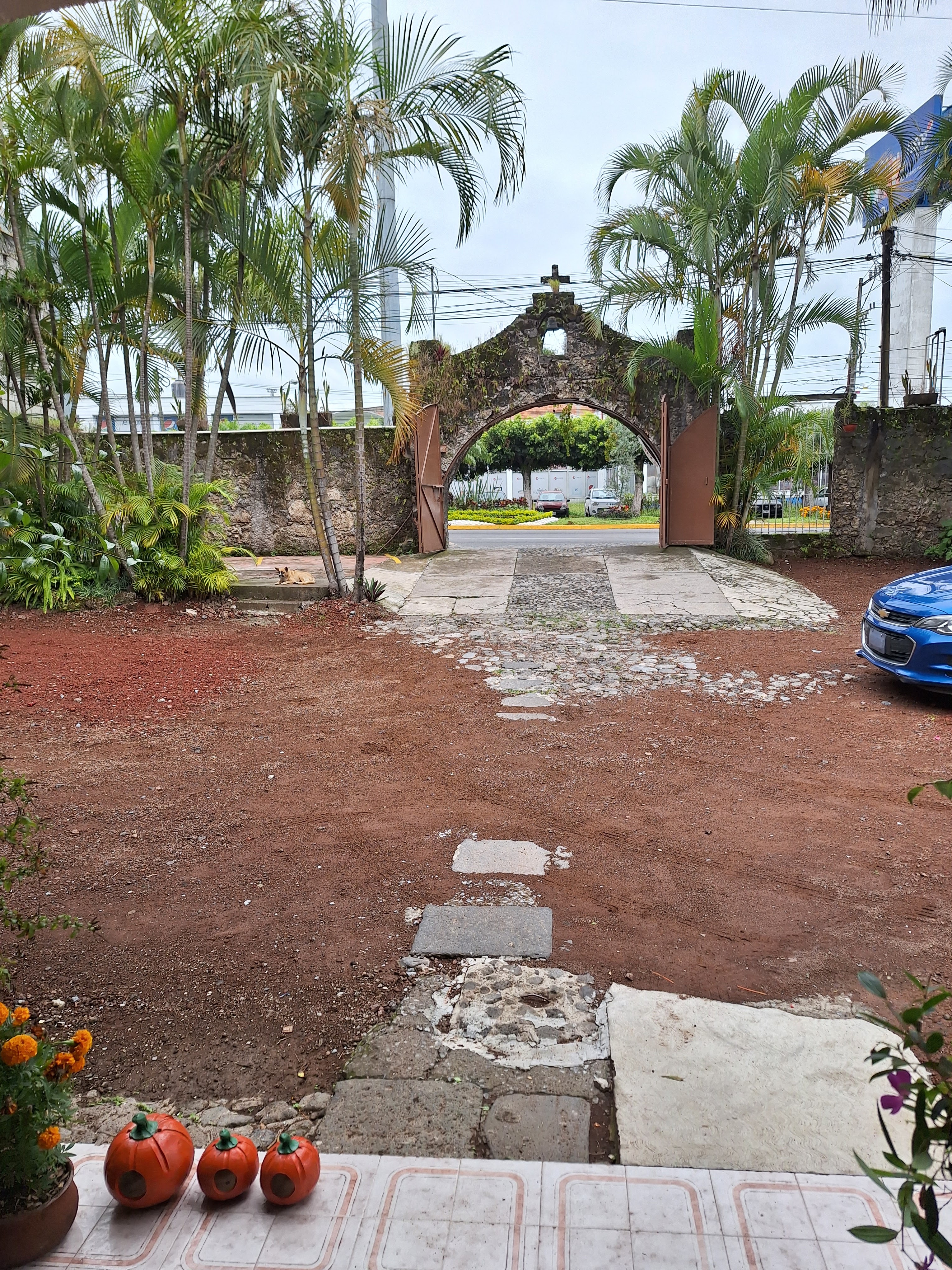 Restaurante Tu Casita image 6