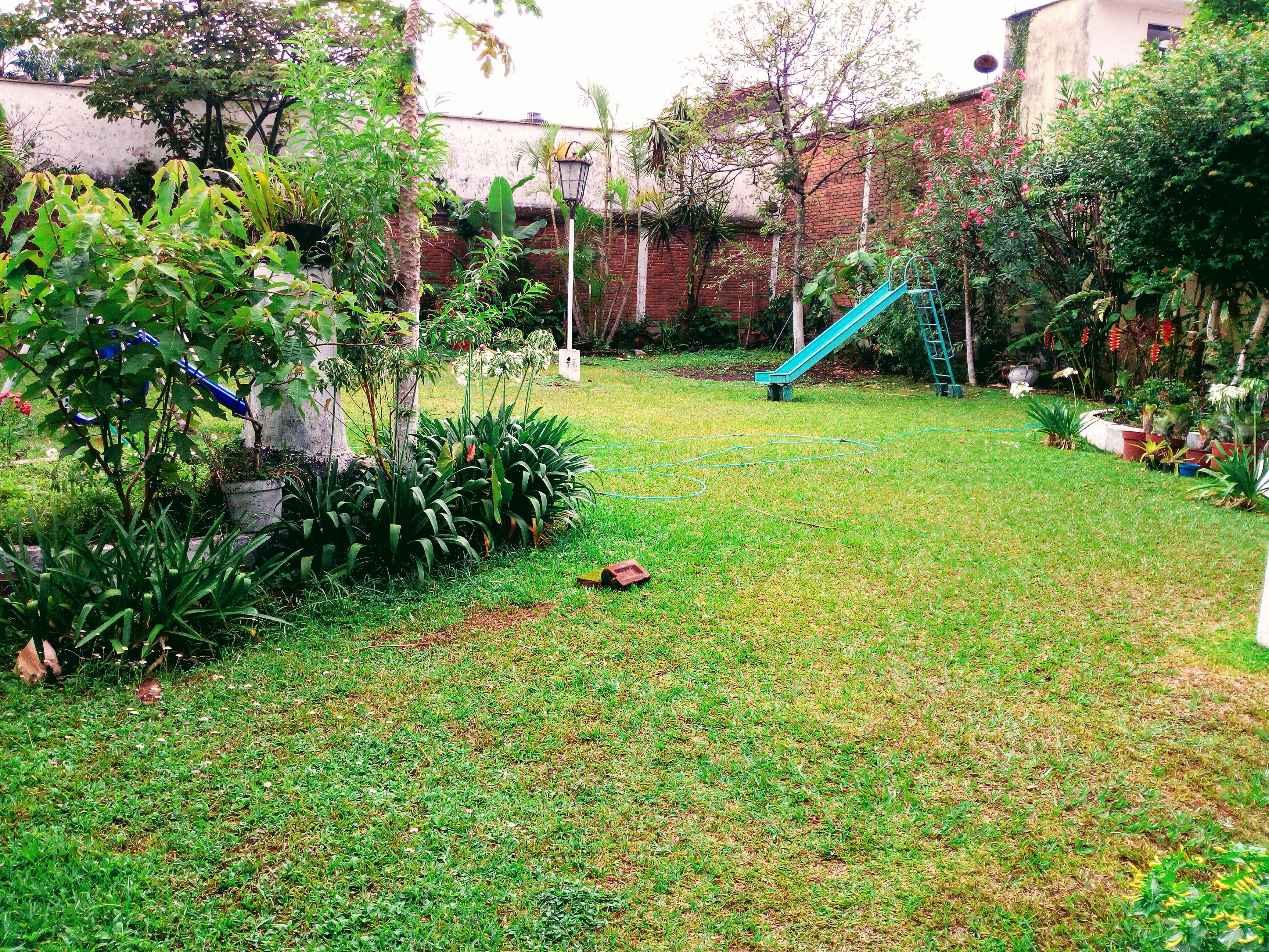 Restaurant Paseo Real image 4