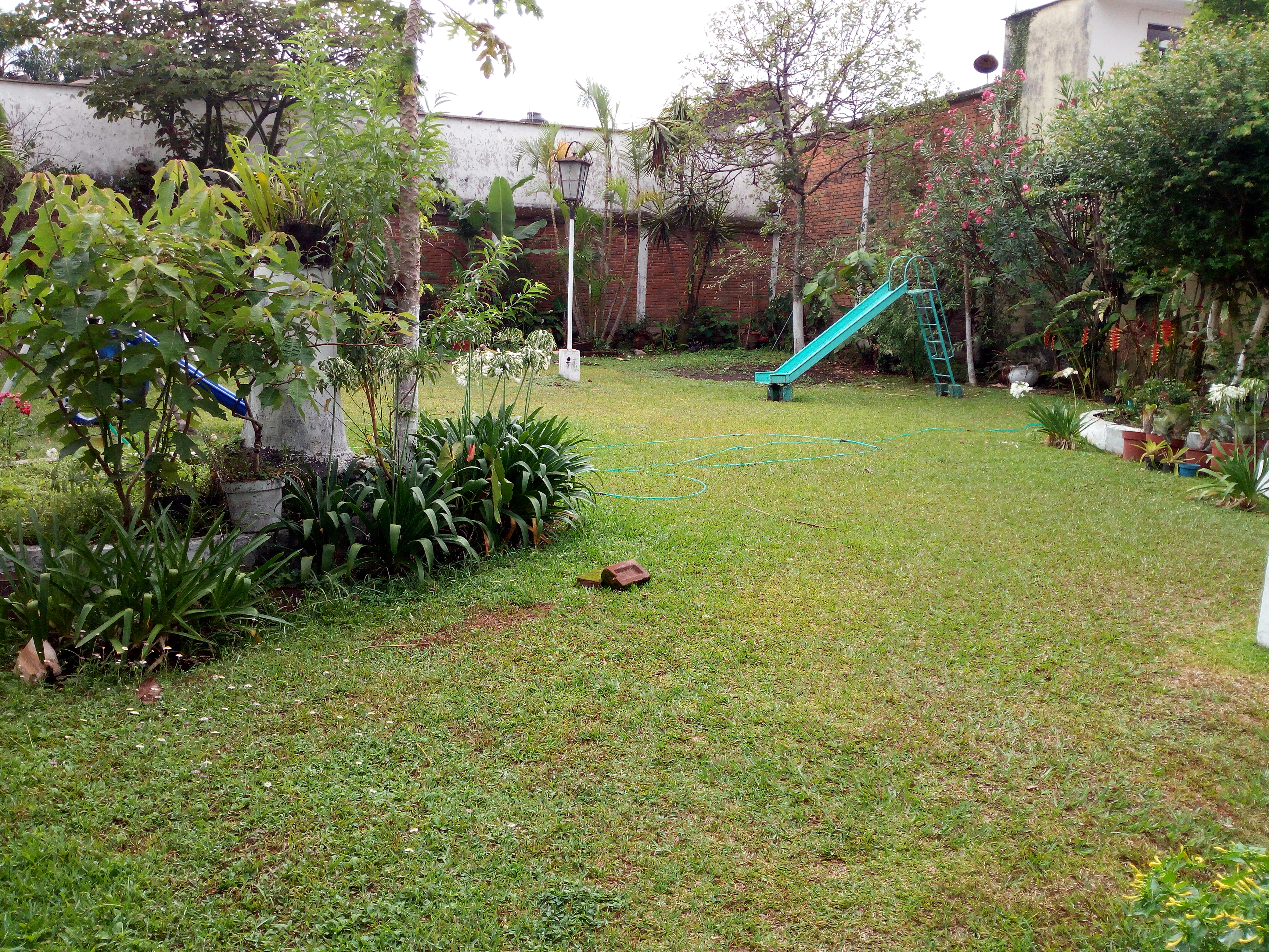 Restaurant Paseo Real image 5