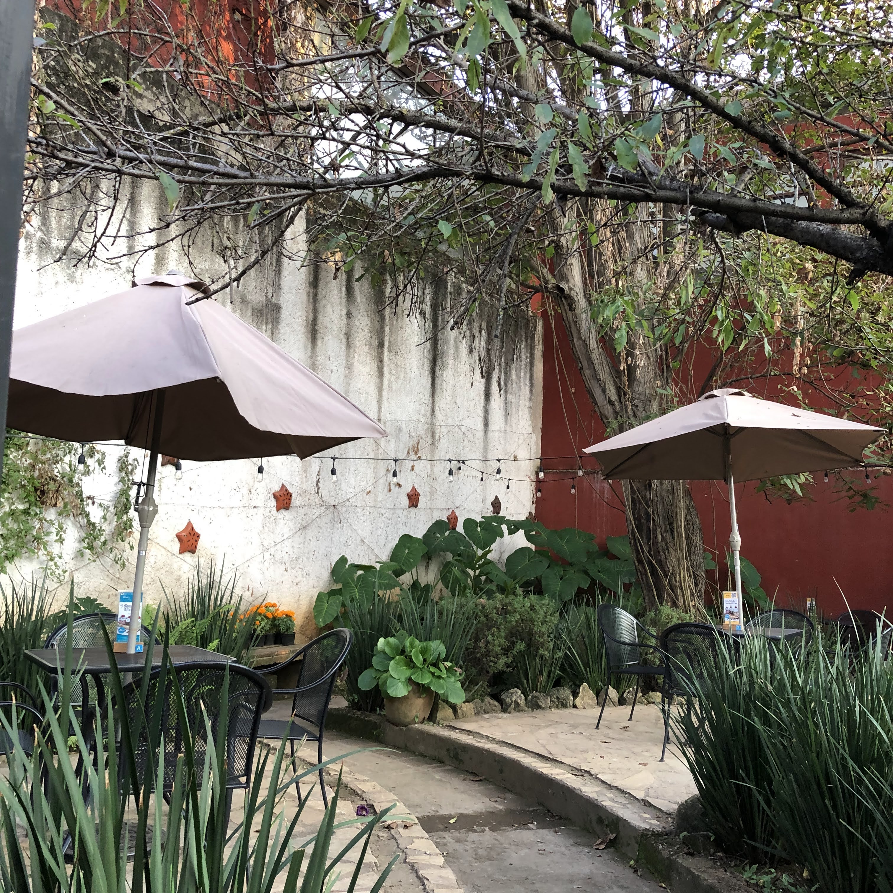 Restaurant Las Nubes Café image 10