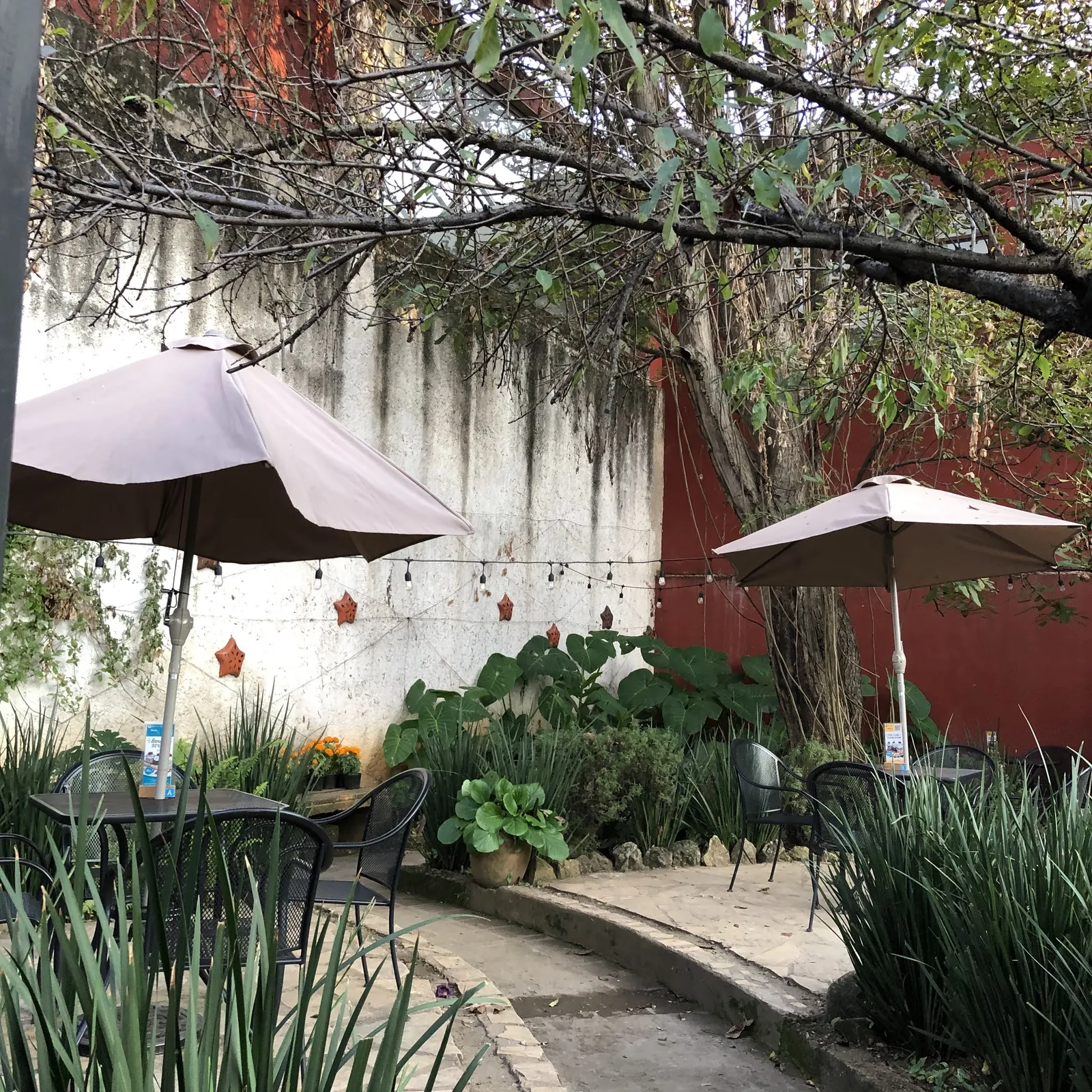 Restaurant Las Nubes Café image 10