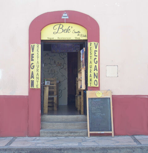 Bek, Semilla De Vida (Vegan Restaurant - Shop) image 1
