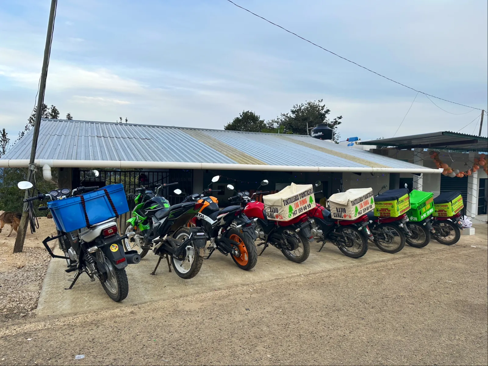 Tortilleria Y Rosticeria “Los Pinos” image 3