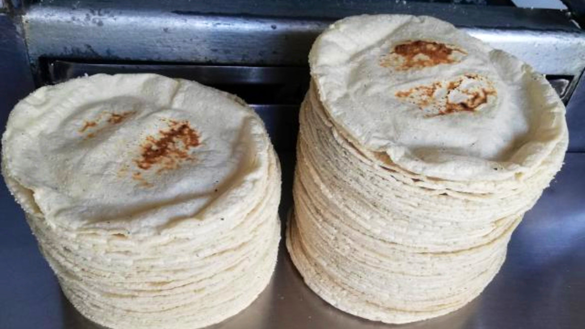 Tortilleria Y Rosticeria “Los Pinos” image 5