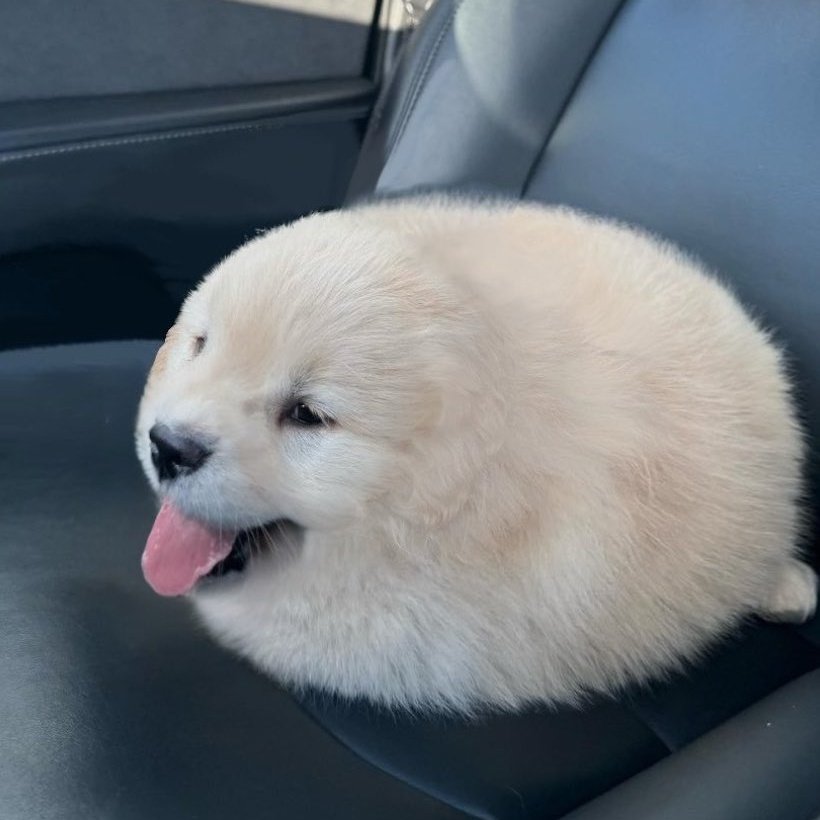 Torteria "El Travis Escort" image 2