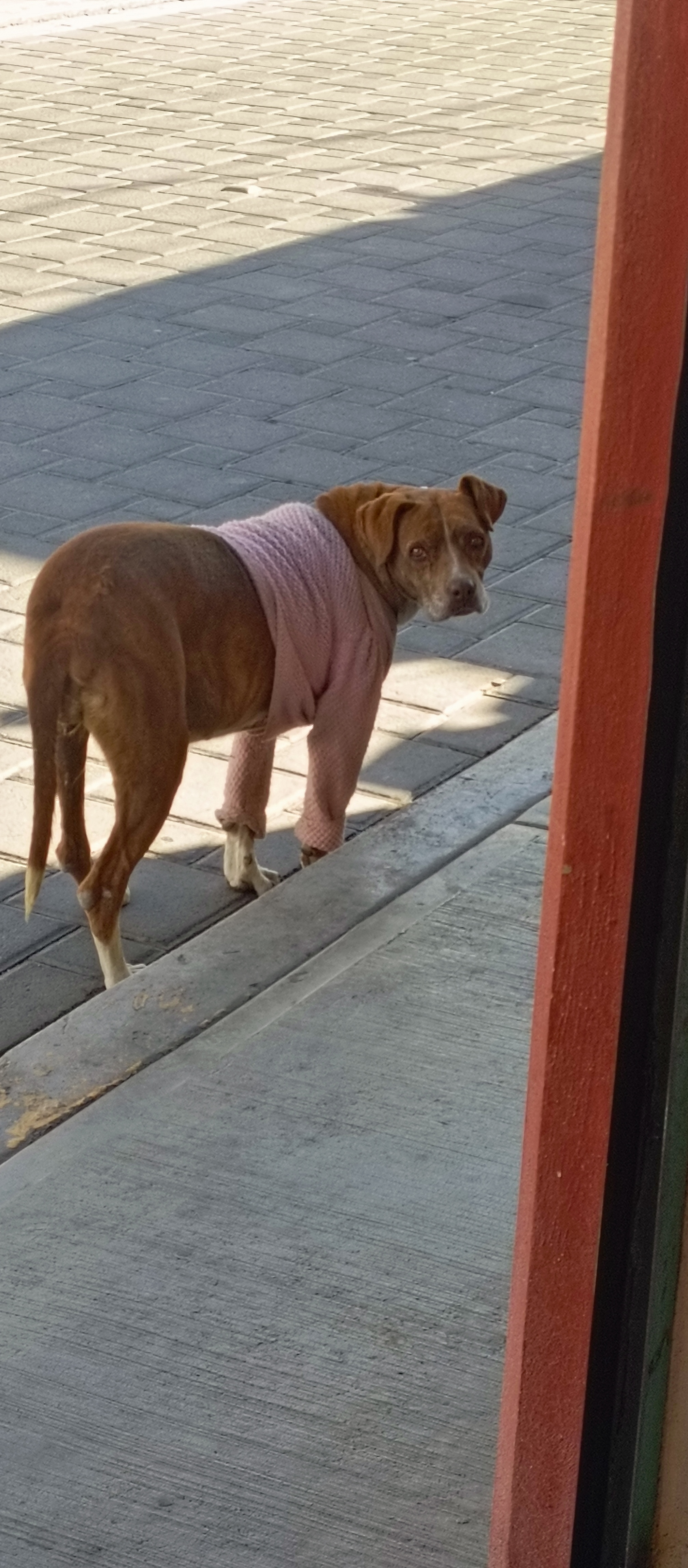 Torteria "El Travis Escort" image 4