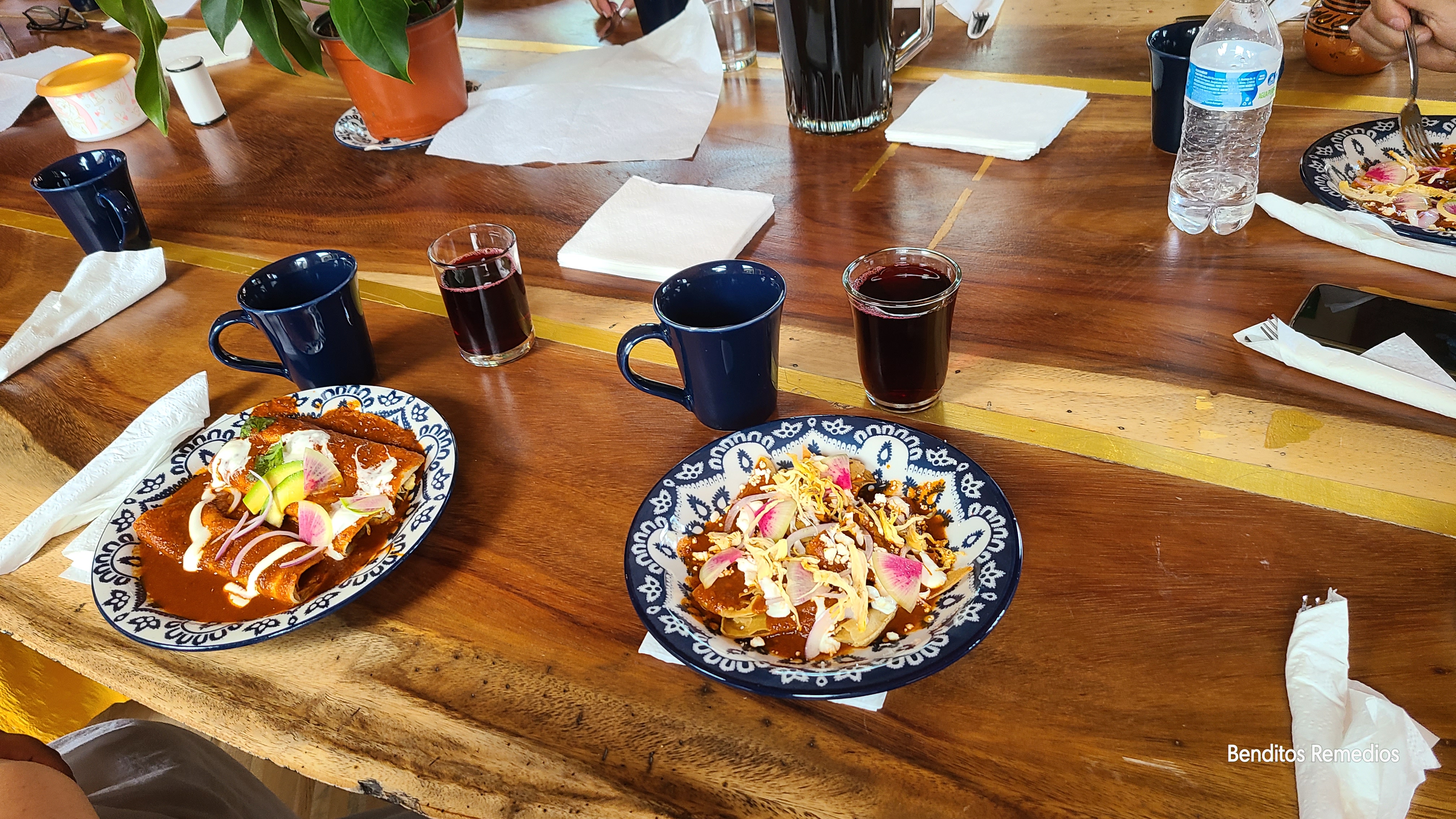 Quetzal Restaurante image 2