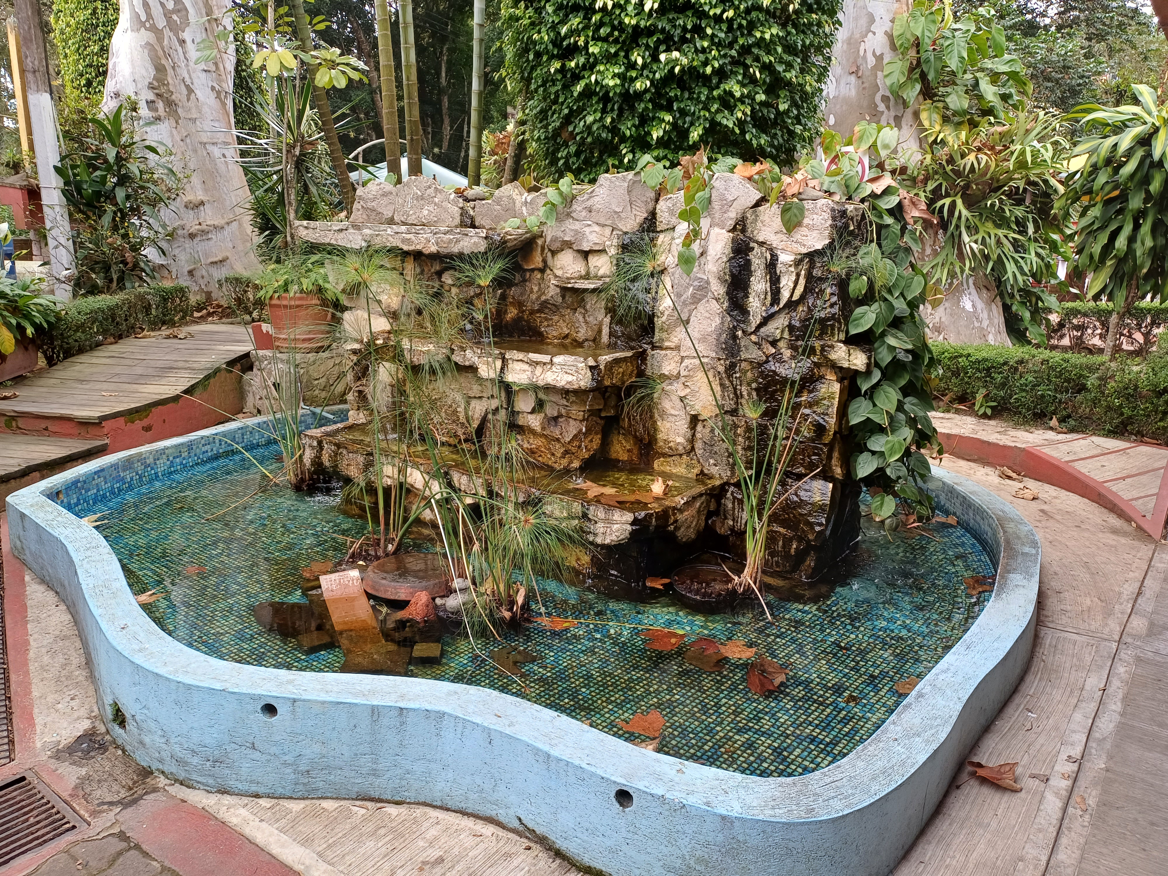 Casa de Campo Restaurant image 10