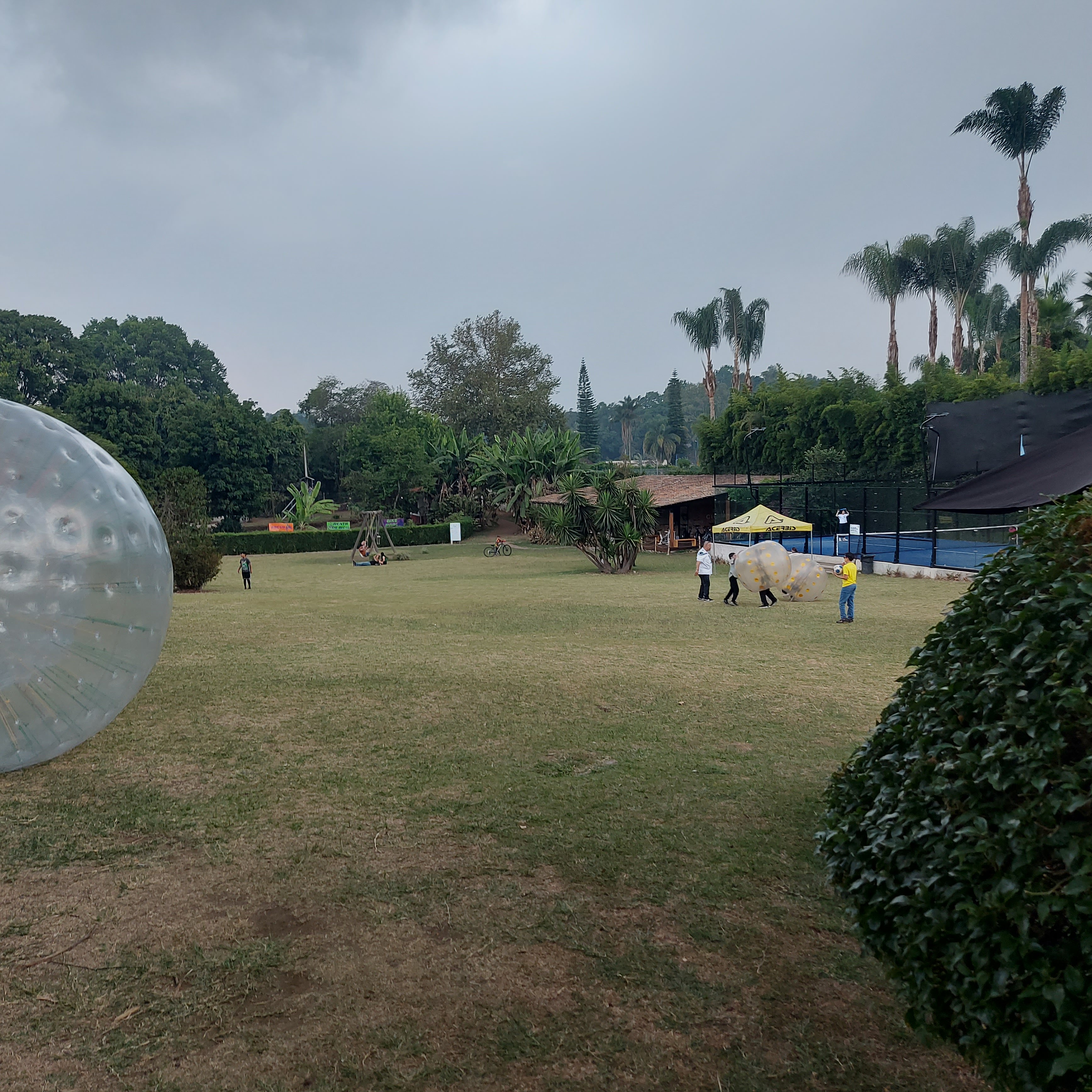 El cachopo restaurante español image 4