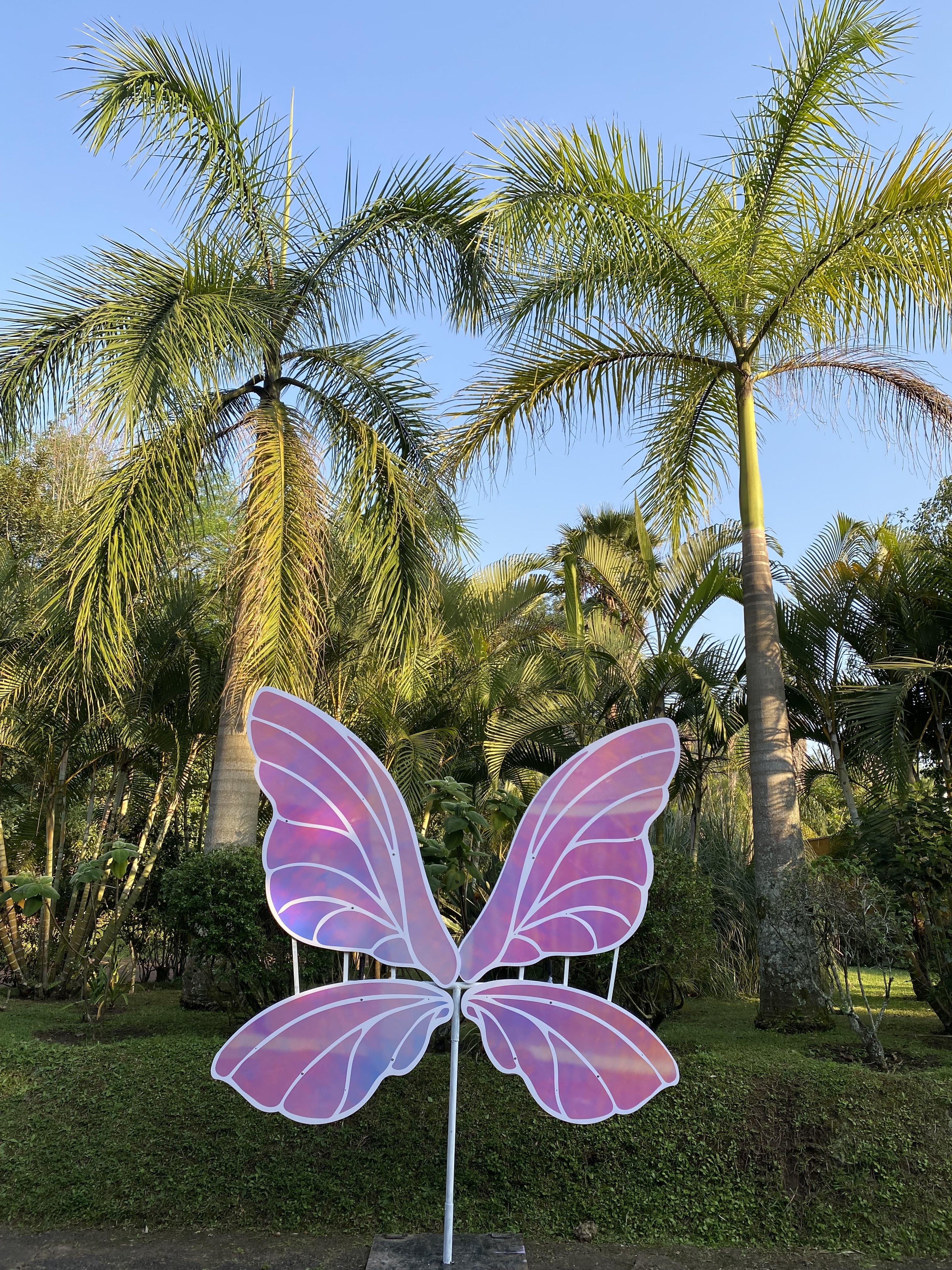 Aine Restaurante Gourmet image 3